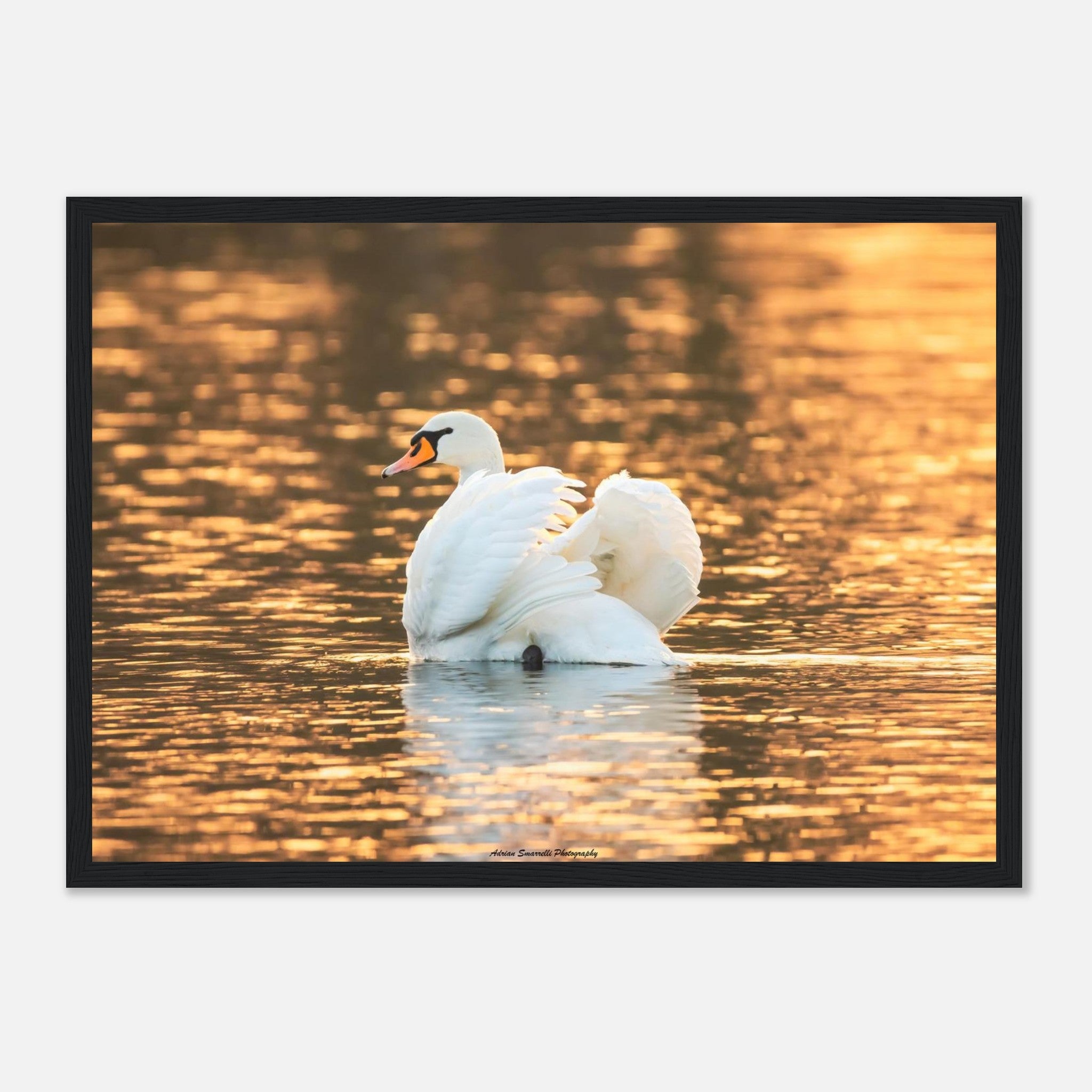 2694d765-37bd-484c-a7f9-ad94486a4363