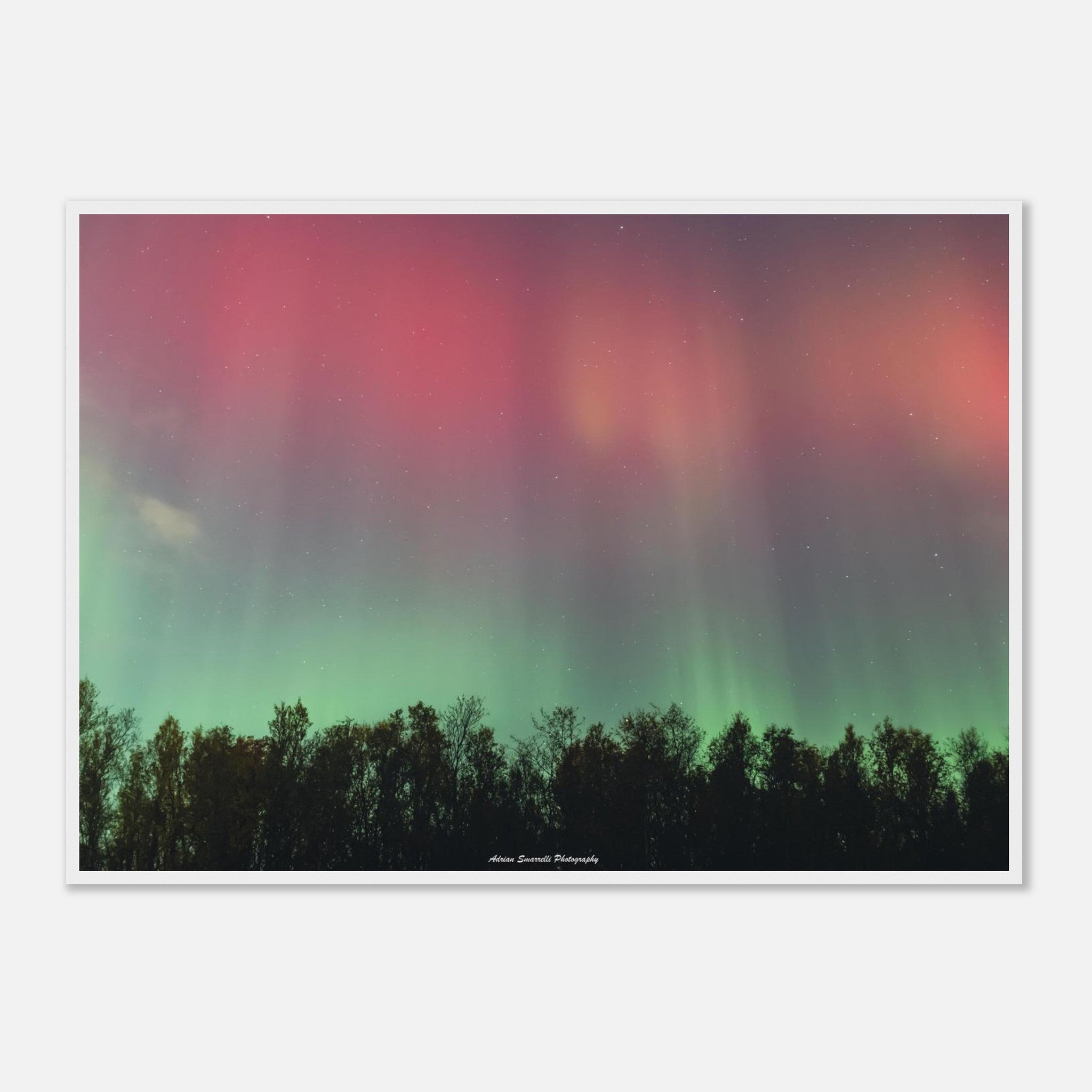 26b9887b-c512-4b1b-85f1-3a476a80e1fc