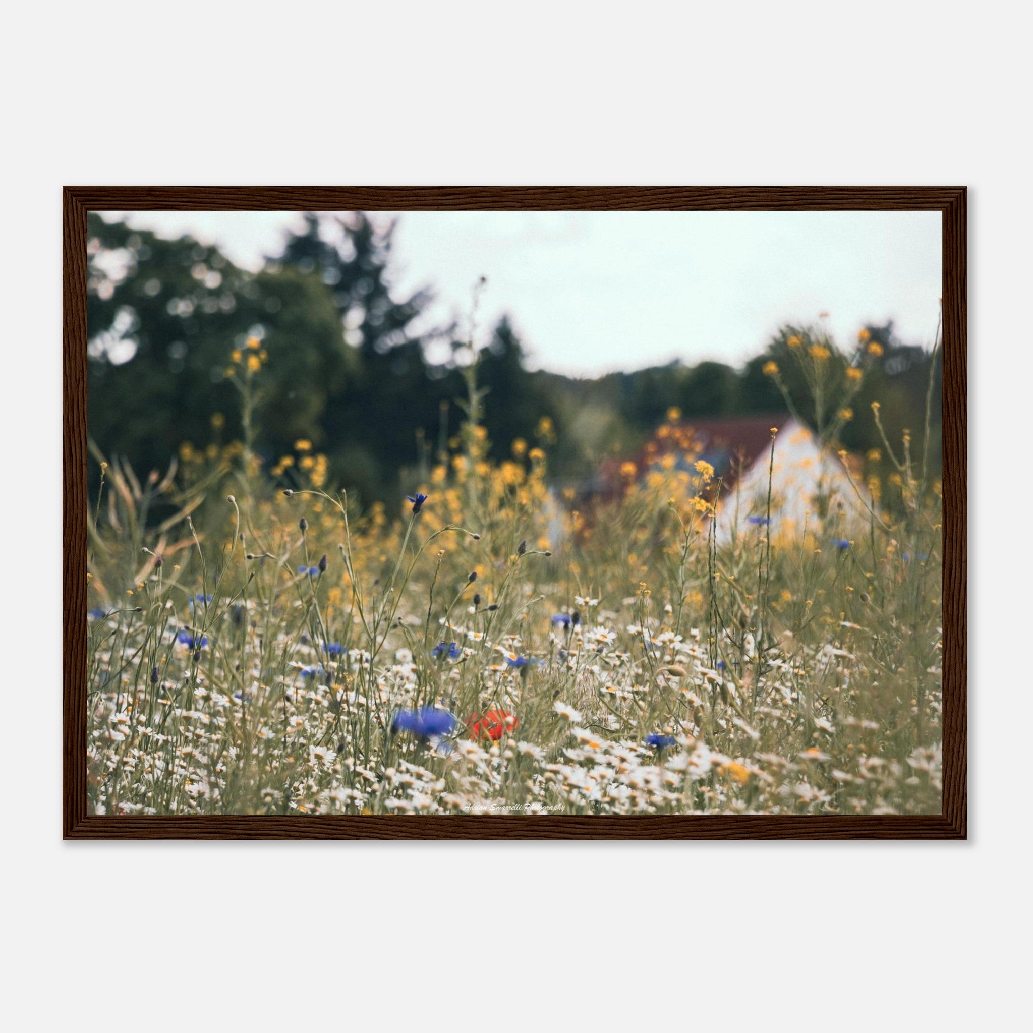 26df4749-3d16-4e0c-a6cf-0fce0c459ae1