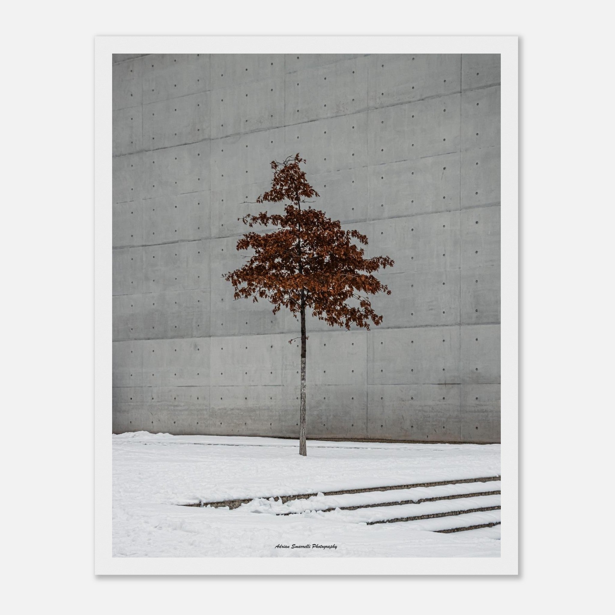 27efb90b-6ce4-49bd-96c4-a78c4c11a61c