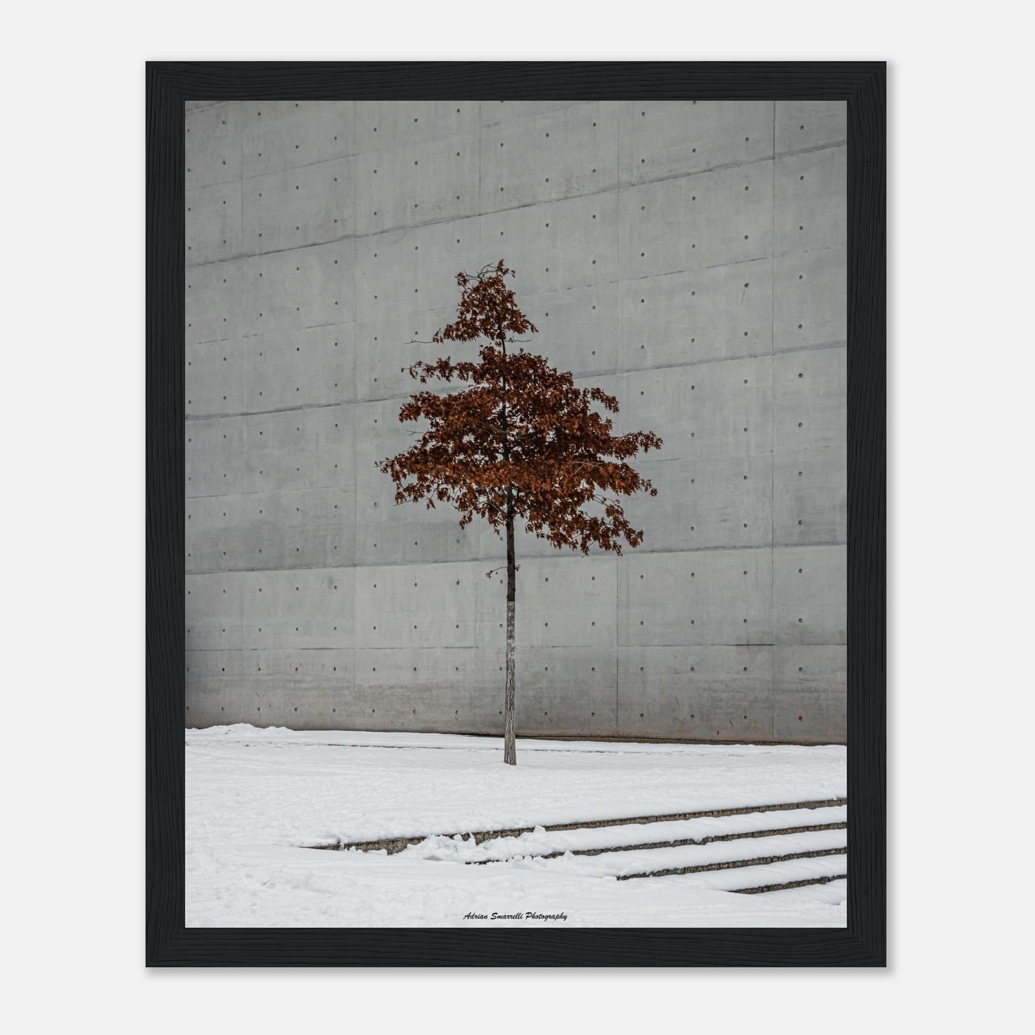 2a6a3664-32ec-4c83-beaa-6fb7c7955274