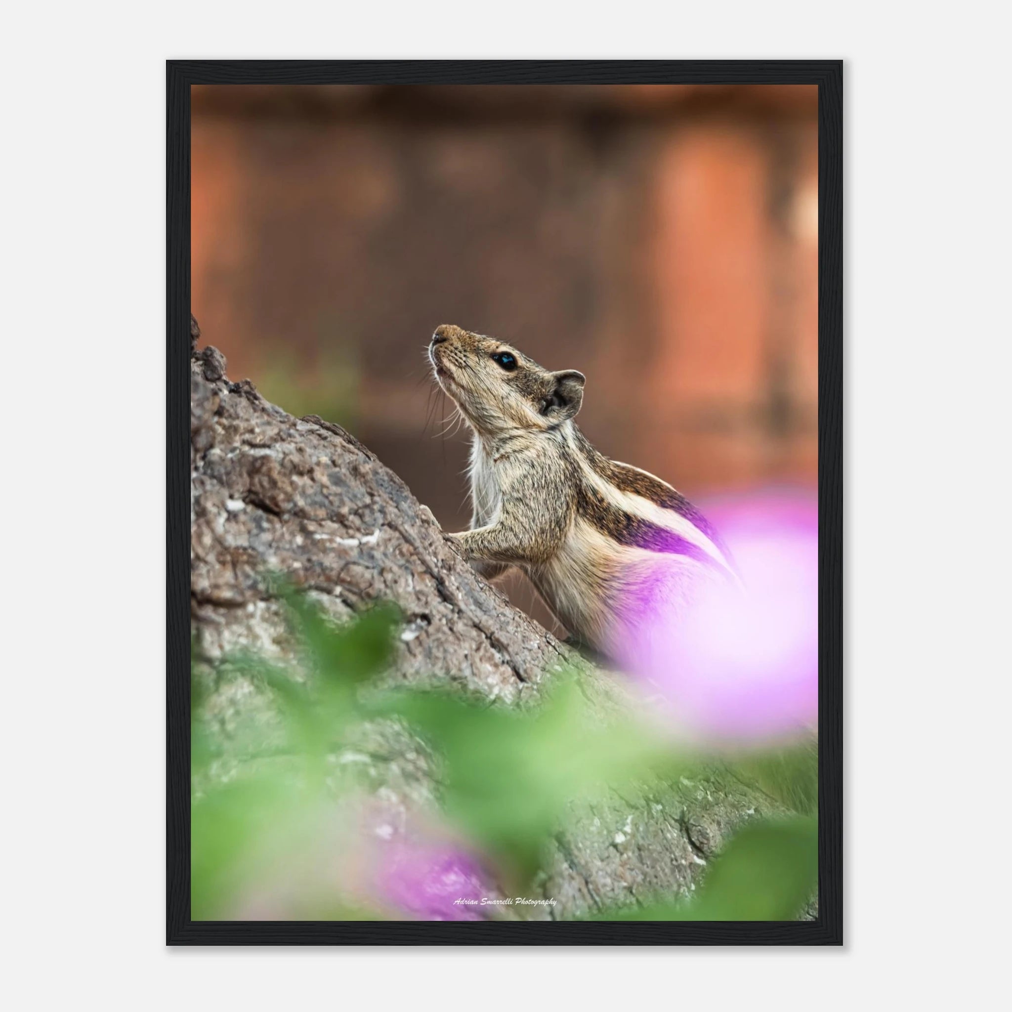 2b59587c-446a-4b5d-b57a-fed6f3ab2365