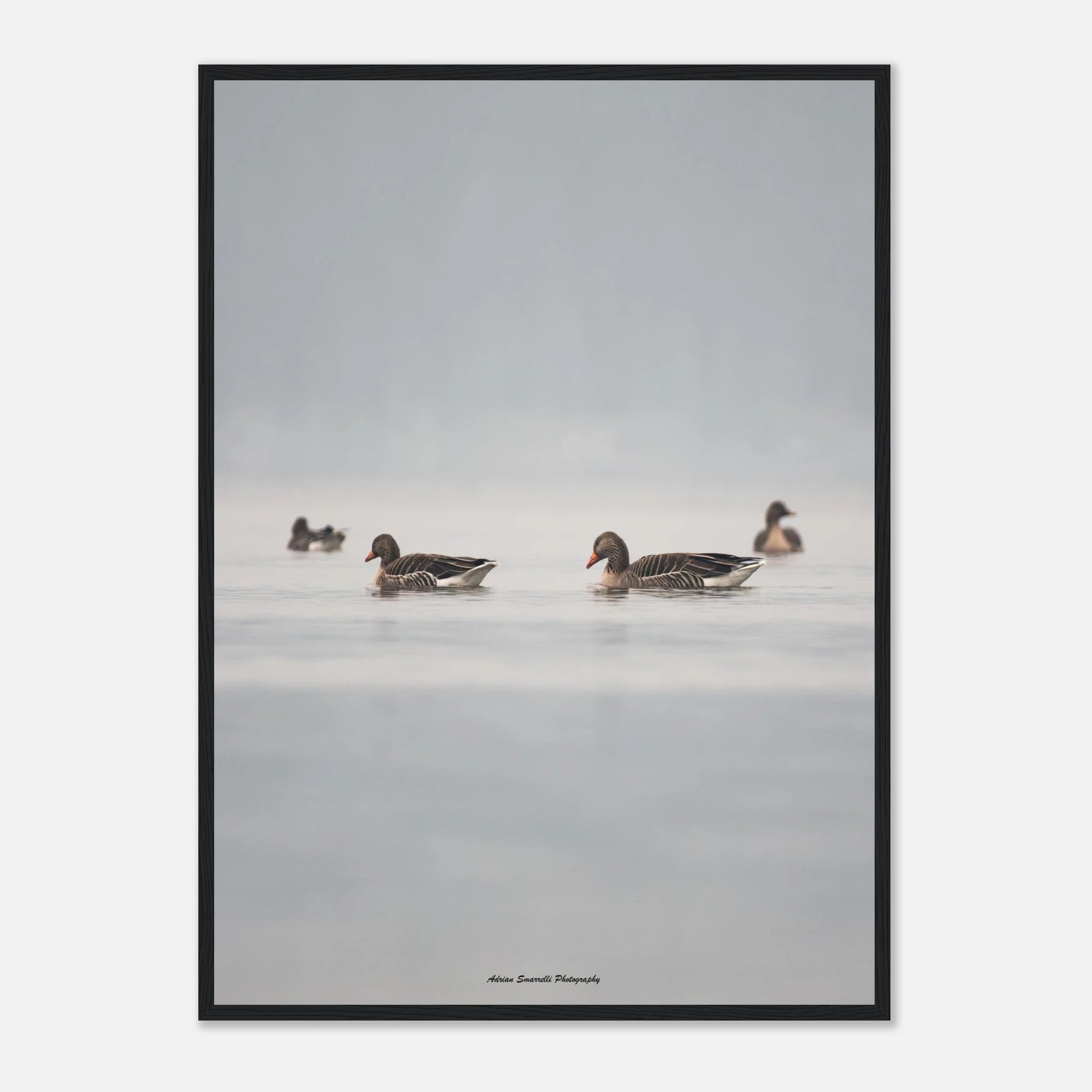 2b64011b-6863-466c-a93d-d34cf22169c2