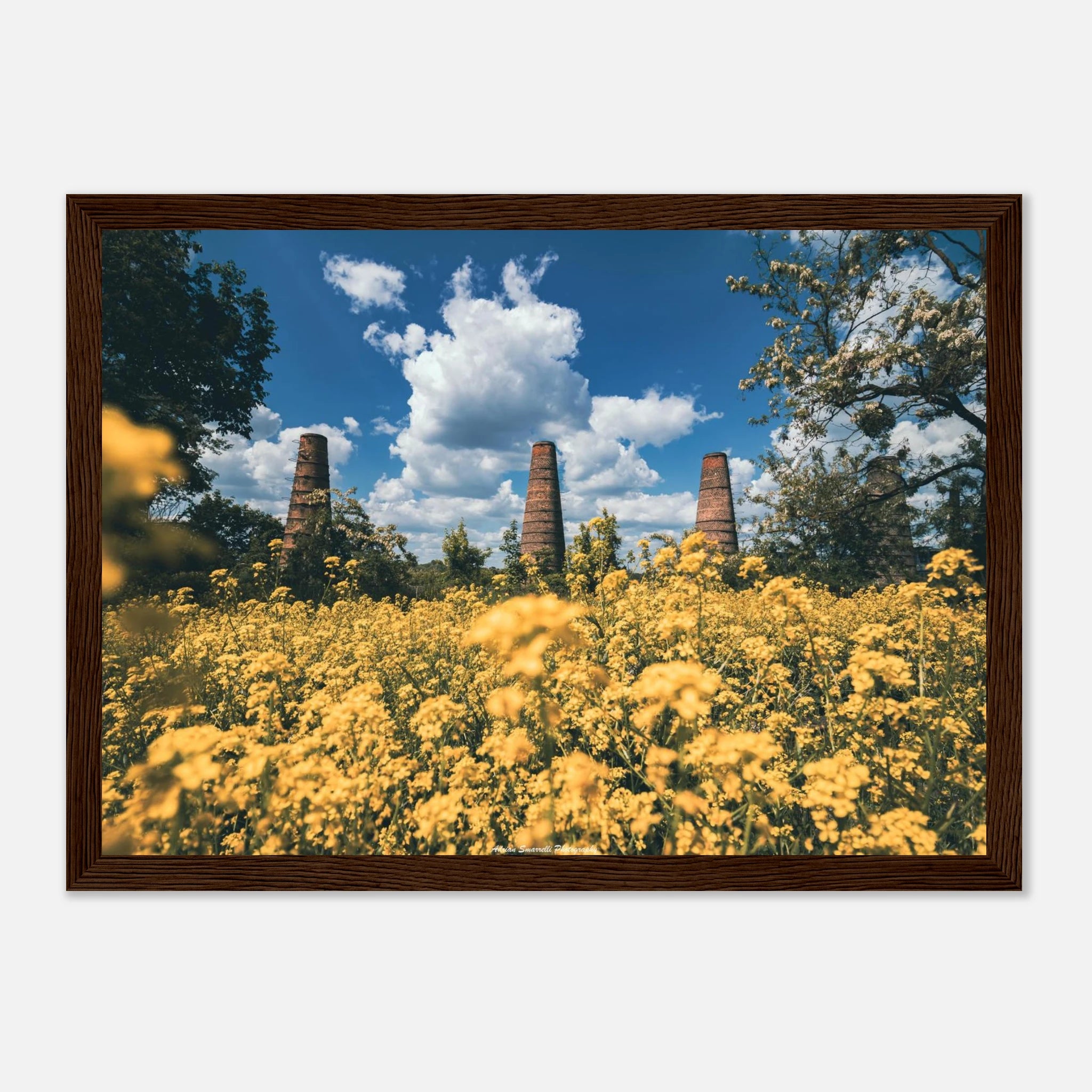 2bb8bc5e-b558-44a7-85ec-54efe115826b