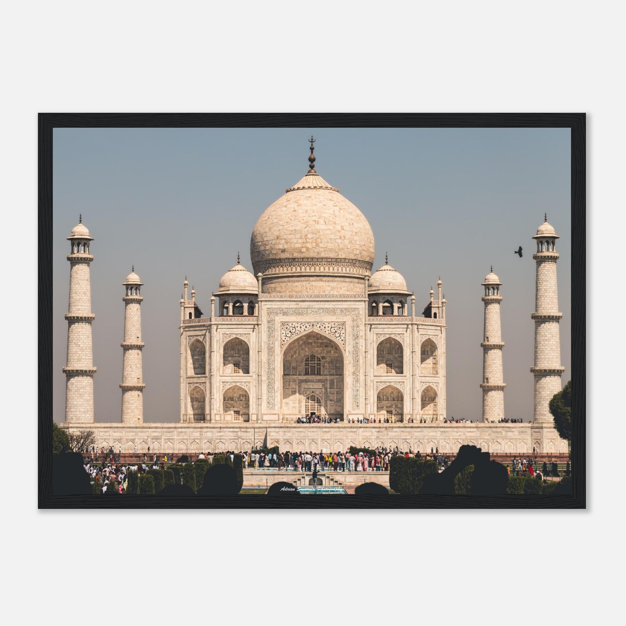 2bd1538a-7fa7-4b3b-a2ff-d8a703cdd58a