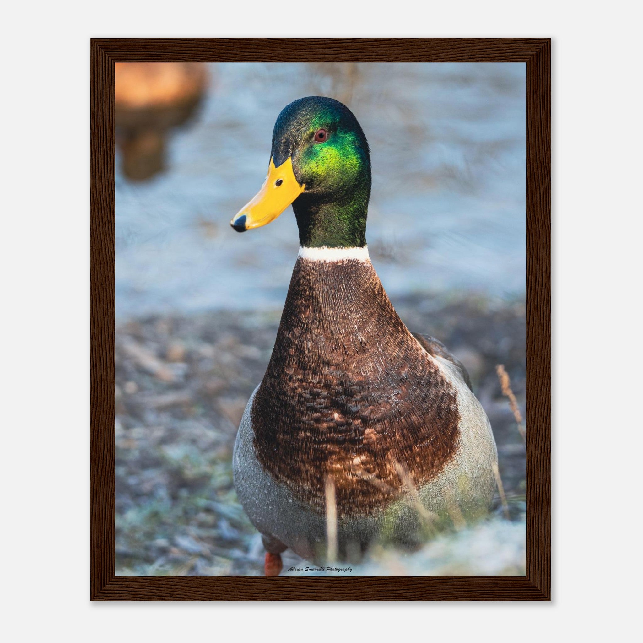 2c7c84f3-2586-4324-9a3b-a486f317e1e9