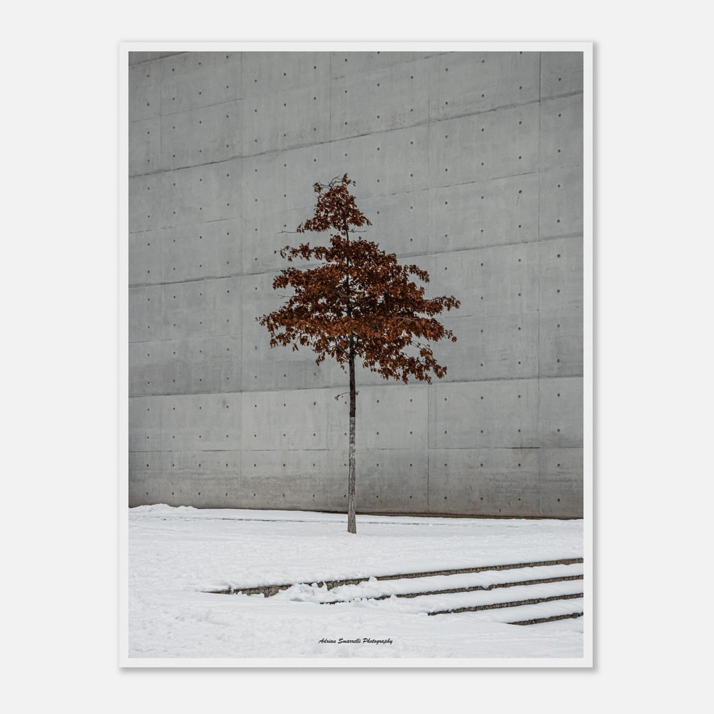 2d00a901-2240-45f0-aff9-be2ca9d5aee3