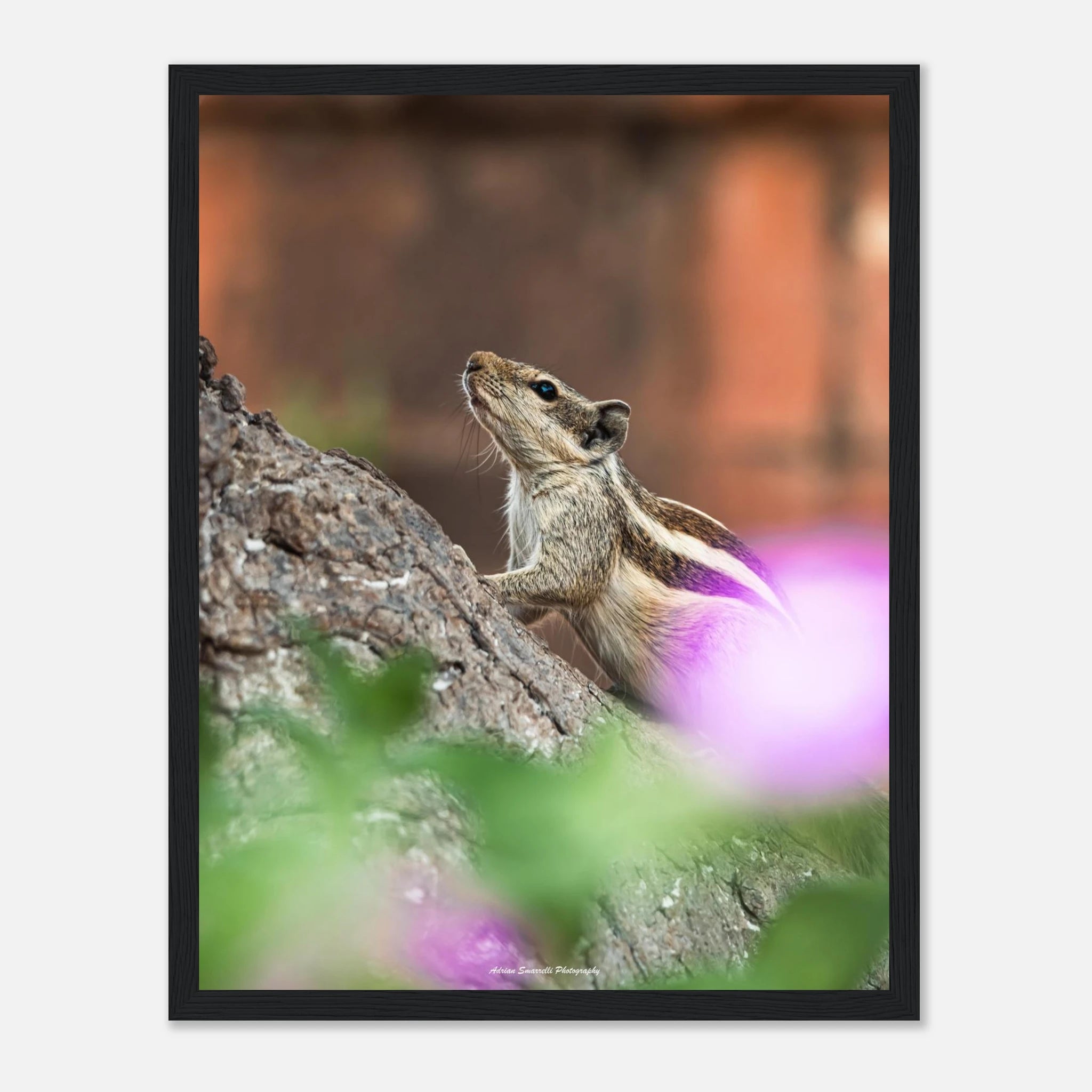 2d69d90f-a389-4862-ab03-1790d18d17b0