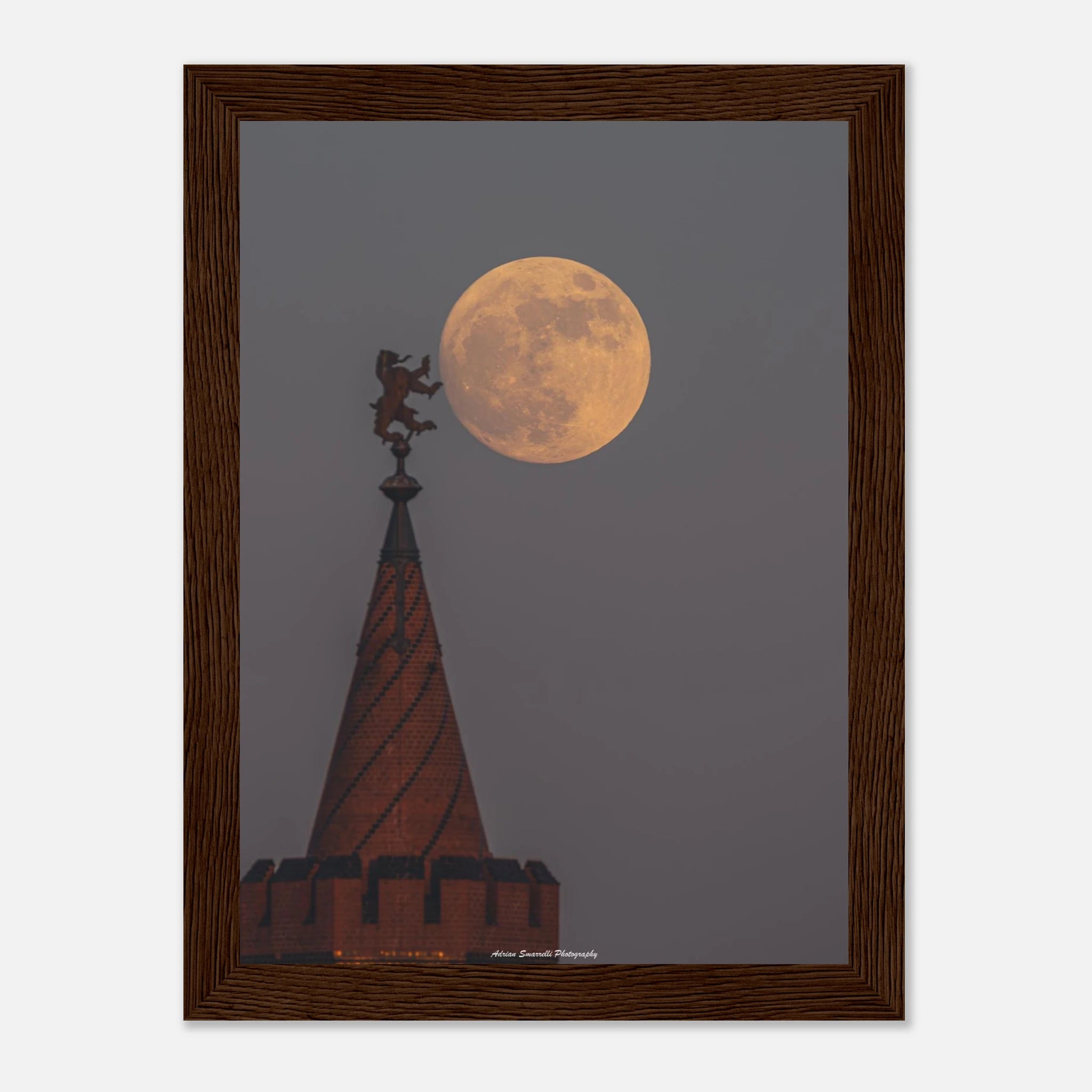 2ea88ac8-85b5-453c-9f72-13d85c51466e