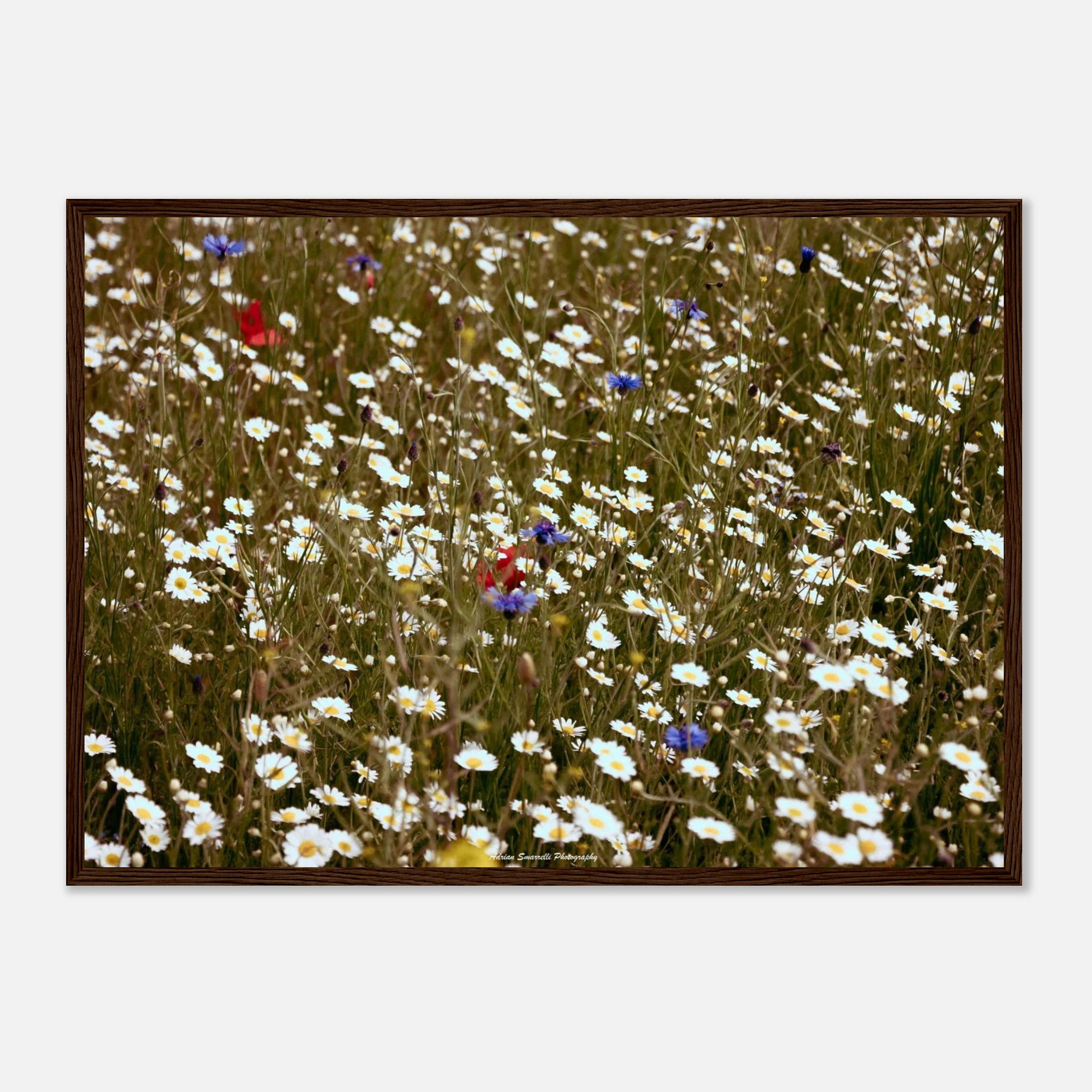 2f505d95-a92f-47db-90ad-58842d744fca