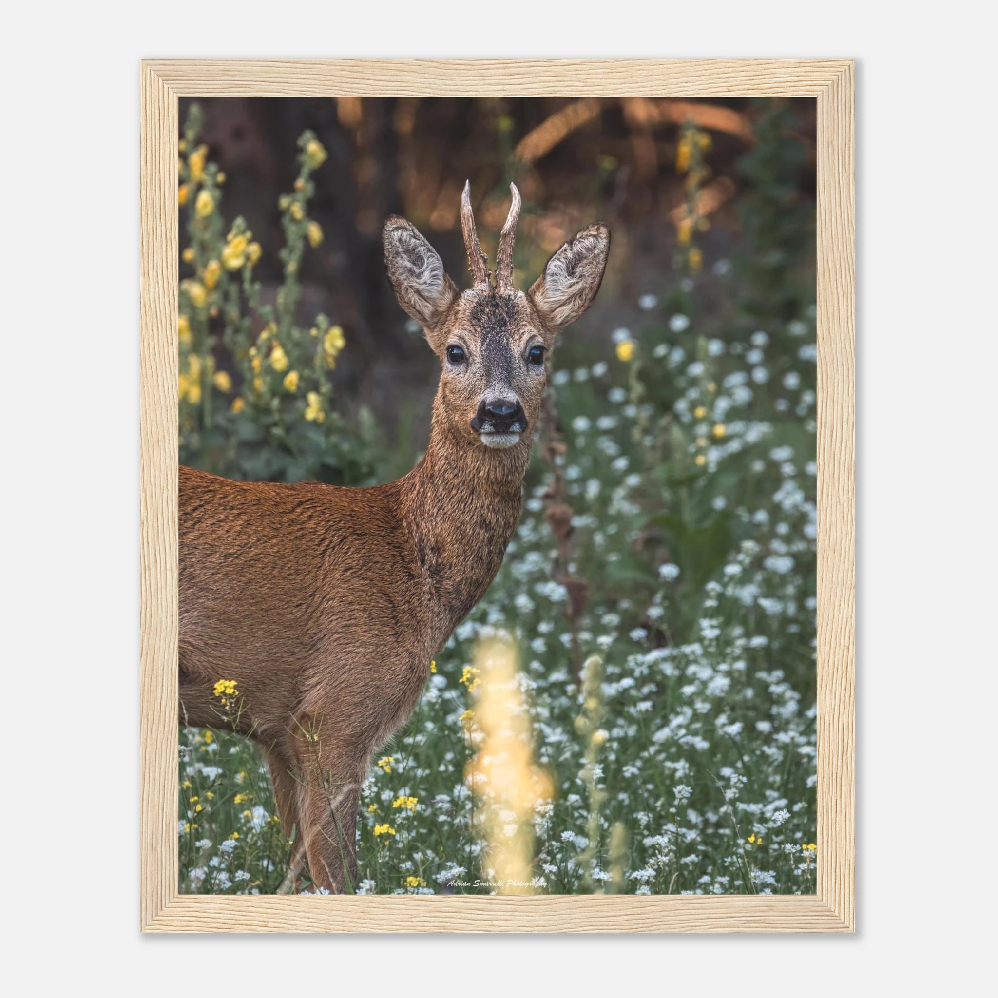 30204ad2-0c4e-4608-bb83-4a48edaa733d