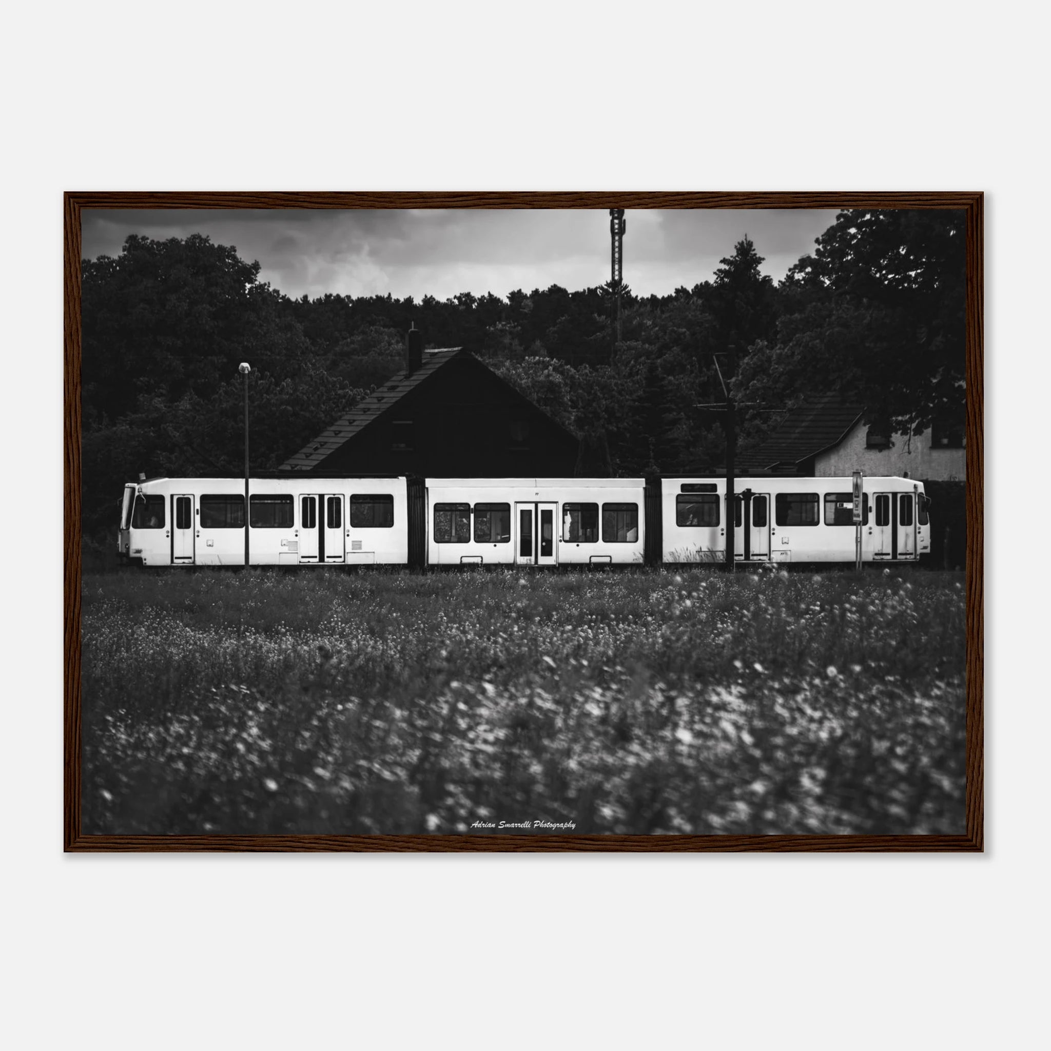 3059c678-17a8-4182-9573-a0c0288b173c