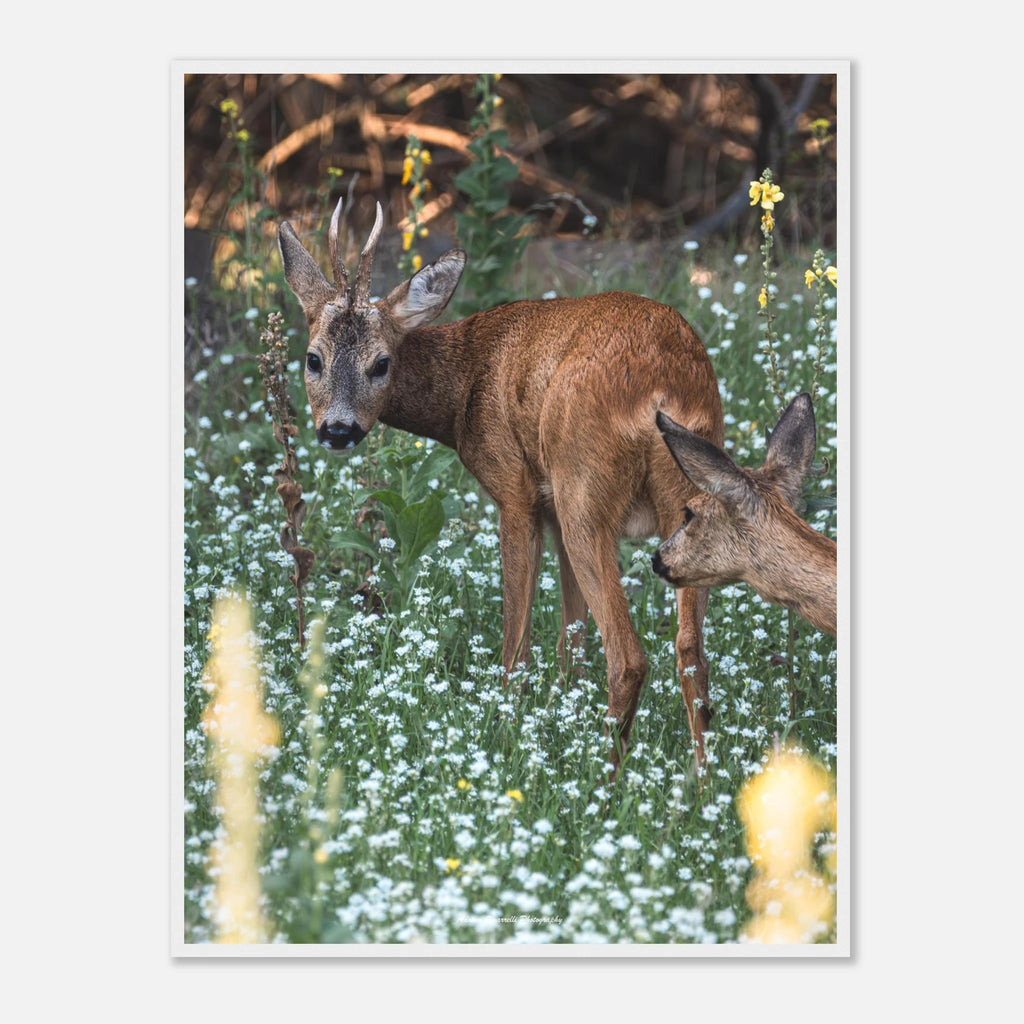 32236cde-c994-473f-a1e2-9b89c6fffd37