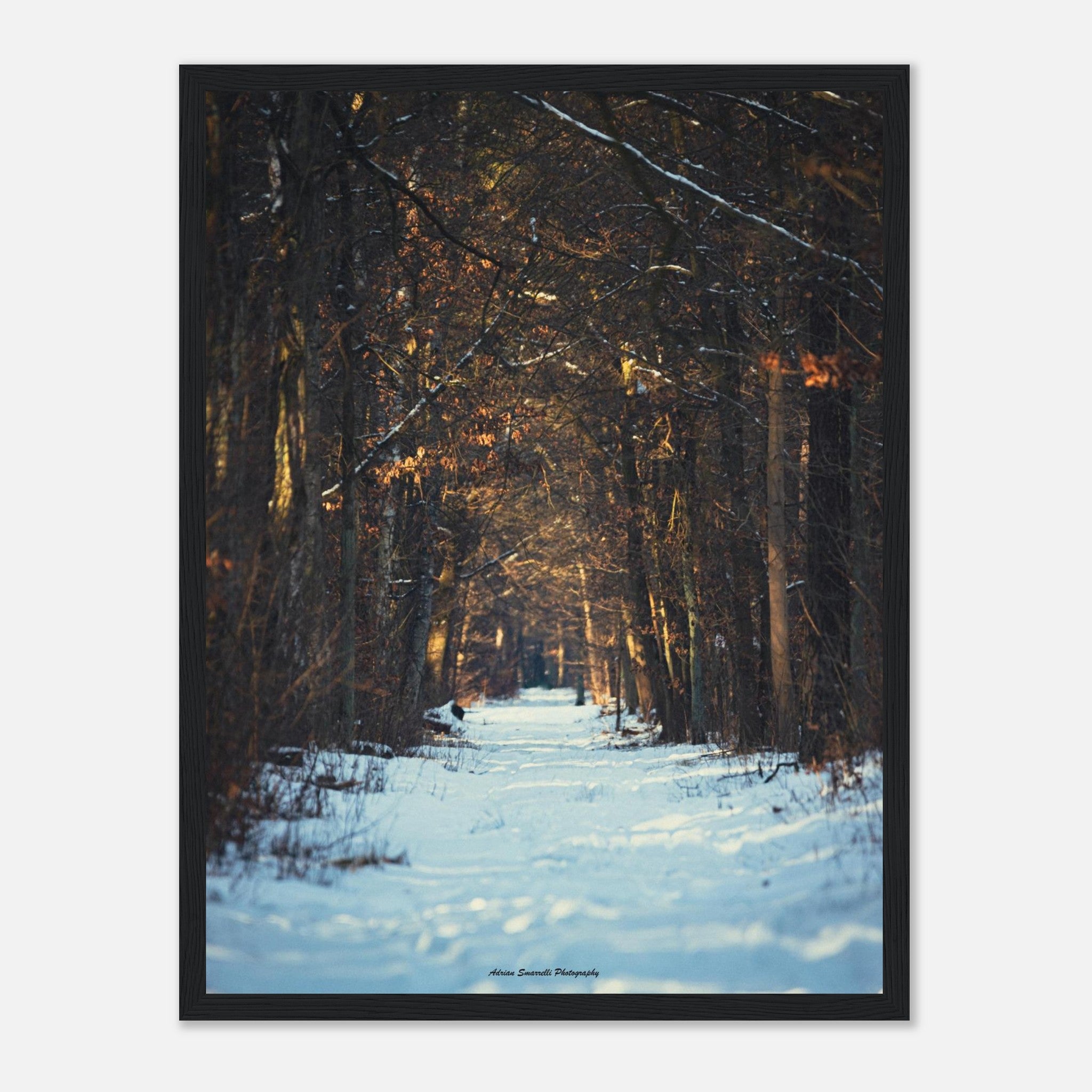 325a983a-63bf-4958-bc5c-97c779d392f4