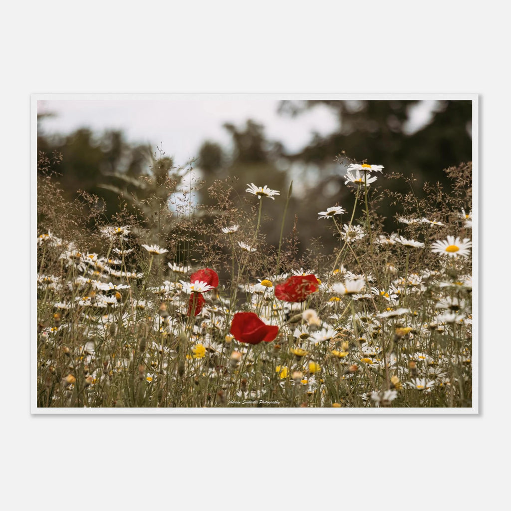 333fda5d-639e-4125-a727-6372de3ee97e