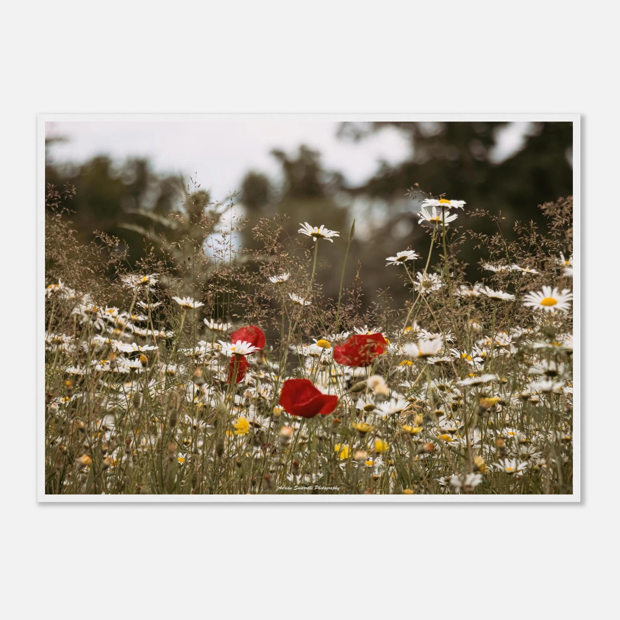 333fda5d-639e-4125-a727-6372de3ee97e