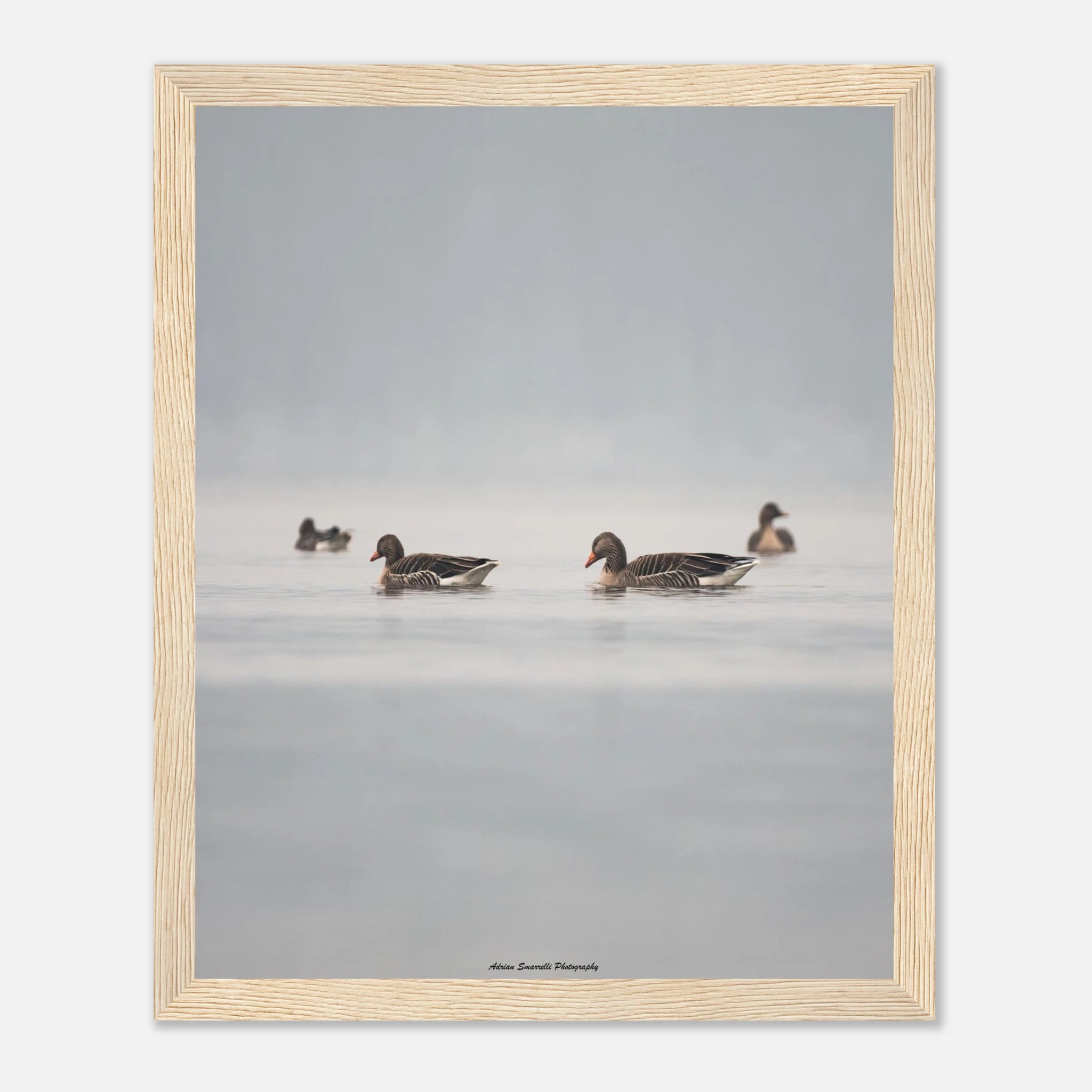 3500f3d9-7b15-47c8-9e0d-4617de55424c