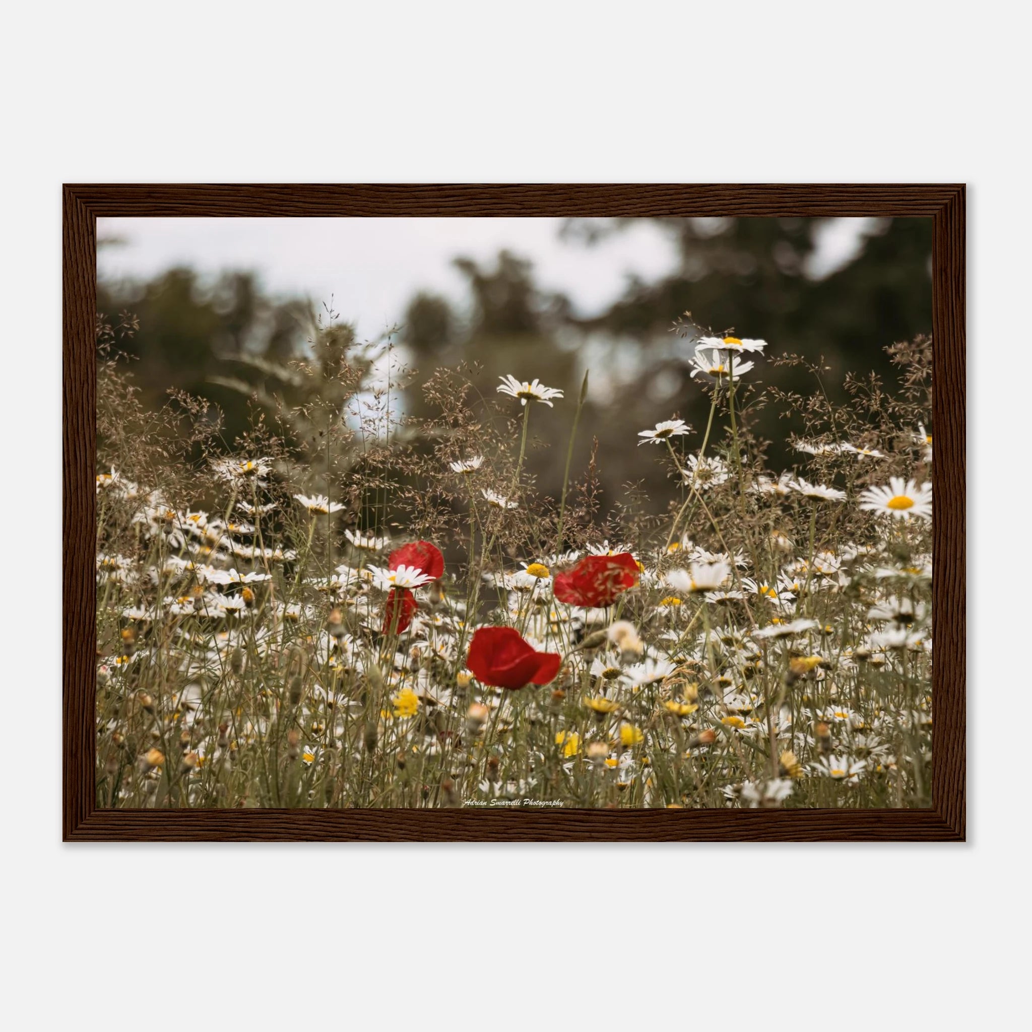 35b64916-20cb-4ac4-aa0f-494bf5ccdfd0