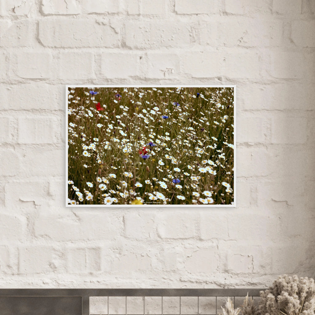 36ab2cfe-bbfe-40b8-a87c-50ab4d9b7528