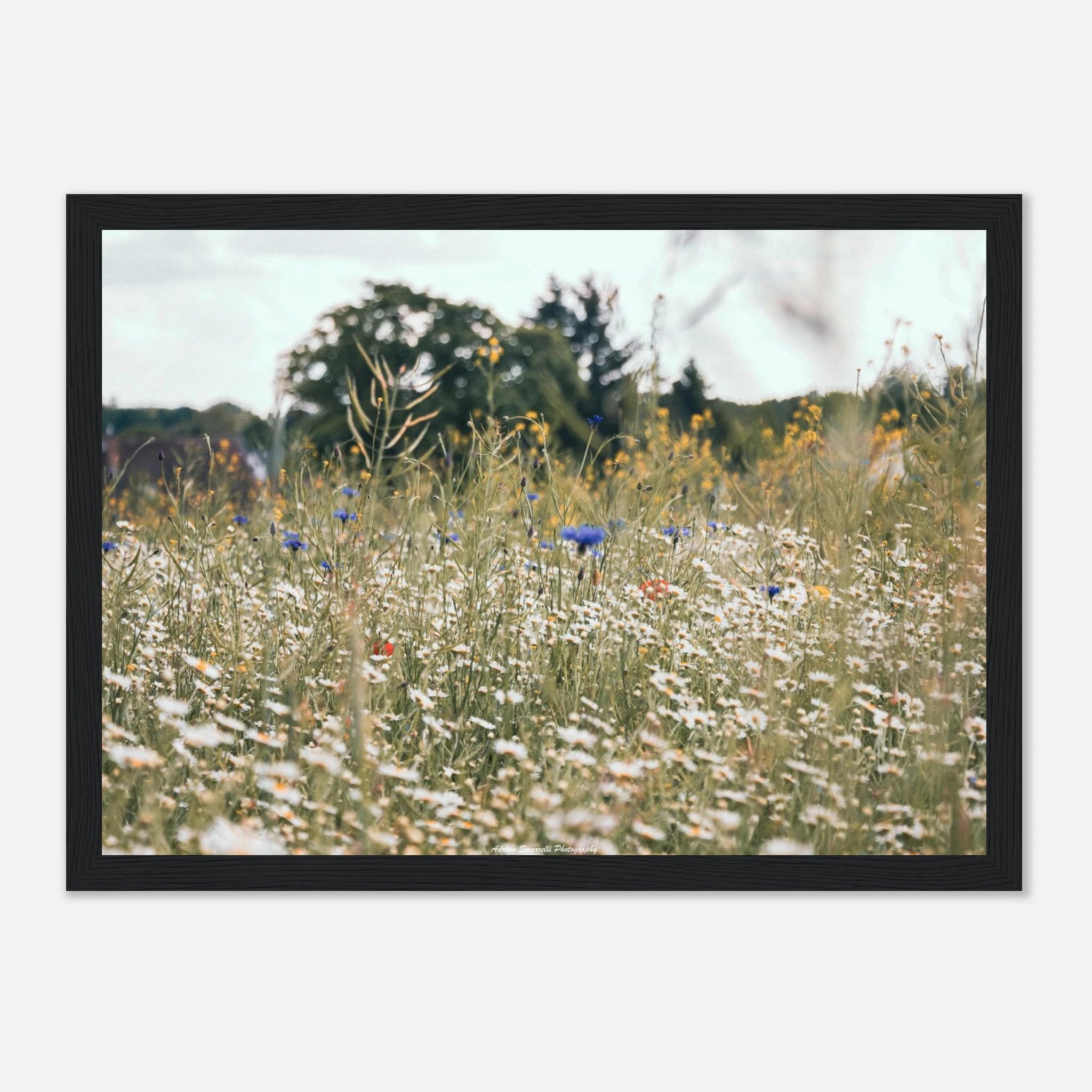 36f229ea-48ed-42a9-b1eb-211df883aa4f