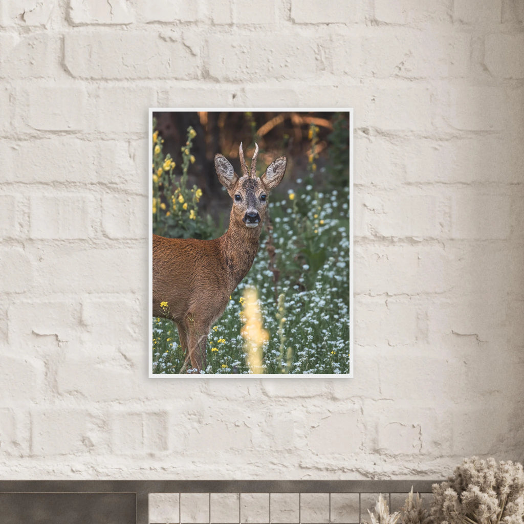 37c82412-b852-4d28-8ce9-9f696d5e2bab