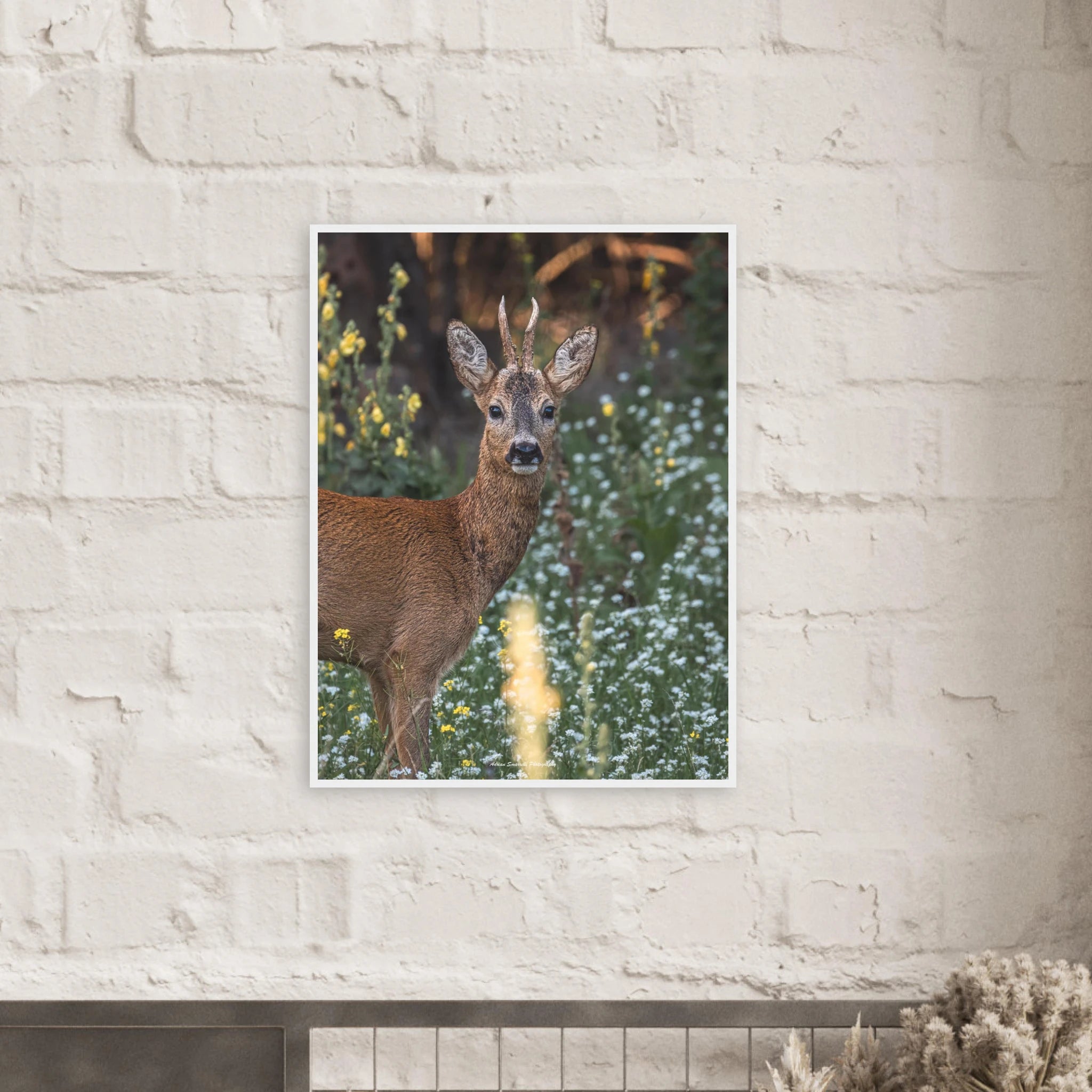 37c82412-b852-4d28-8ce9-9f696d5e2bab