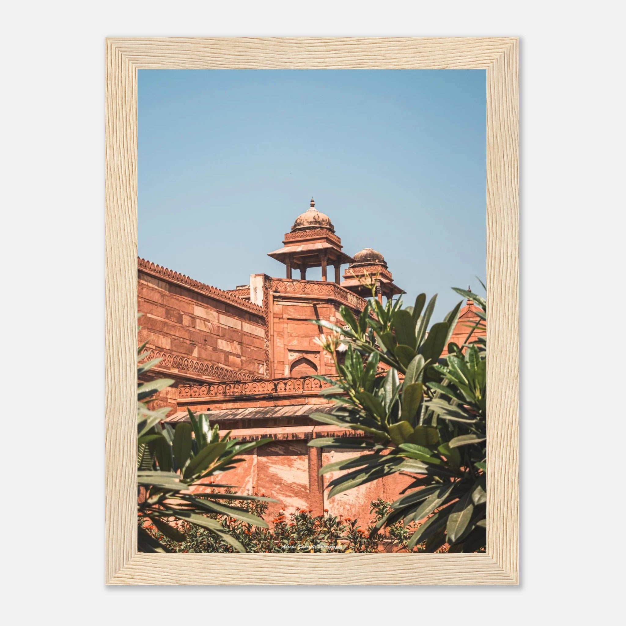 39e861cb-b378-4520-b271-7ba83a94f1ad