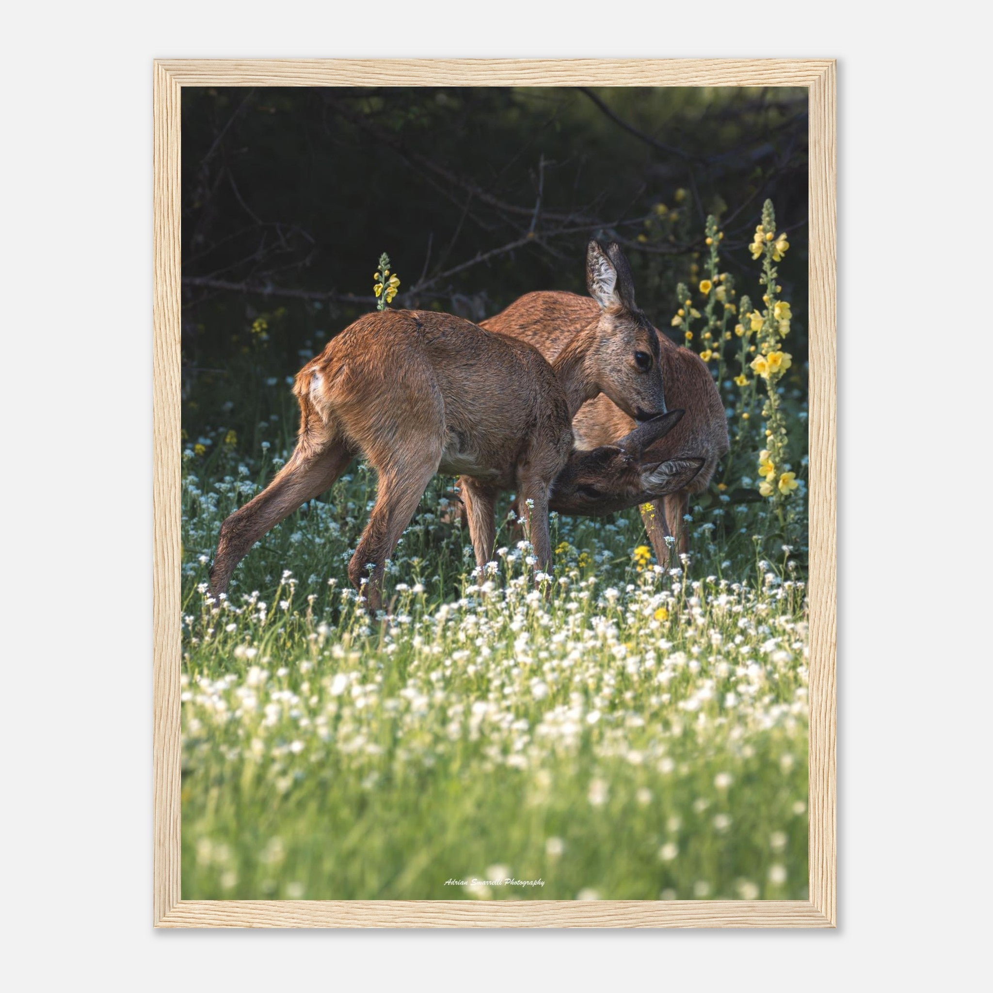 3a047375-2006-4192-9dff-d0d173046d42