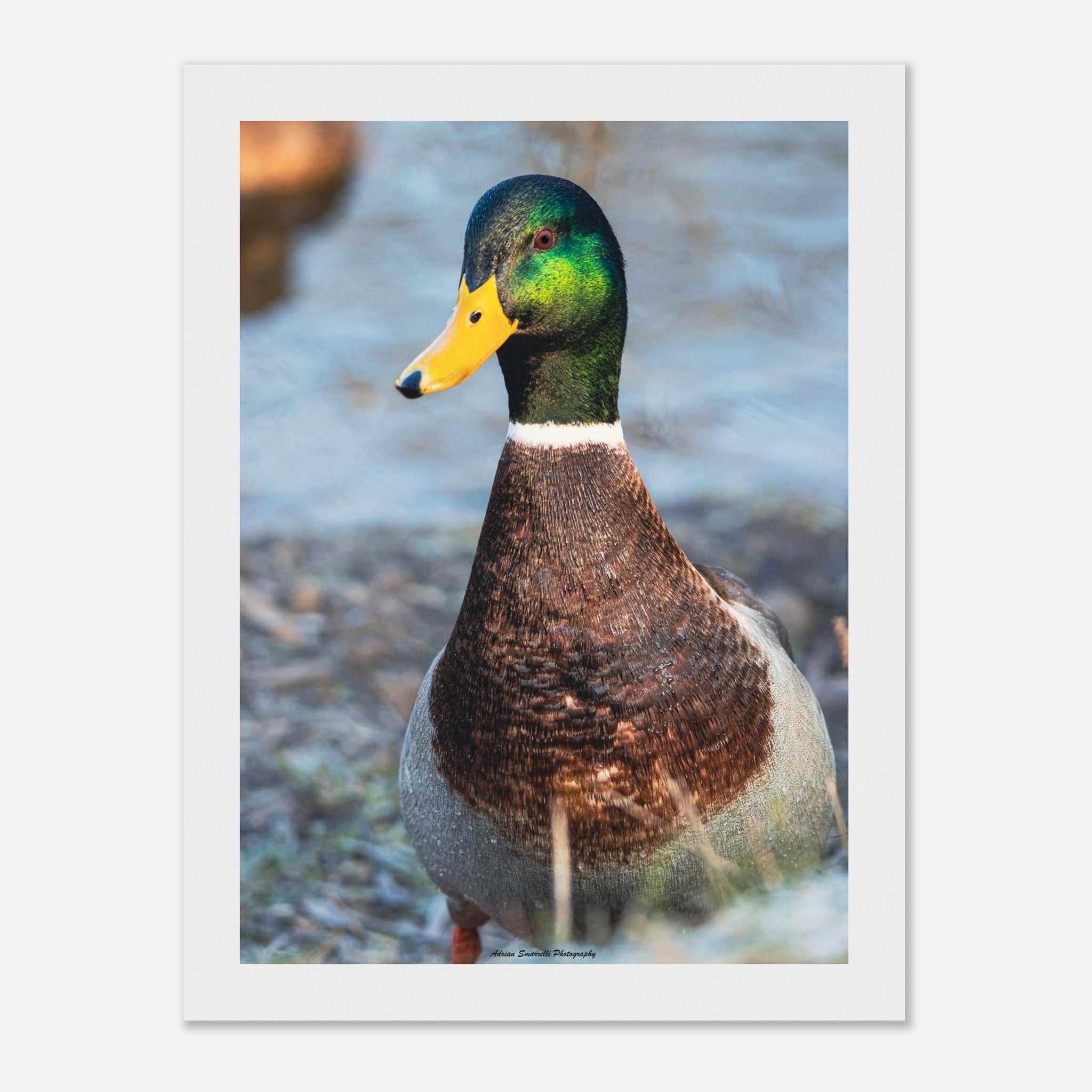 3b484878-2115-472b-abe9-d148507225e7