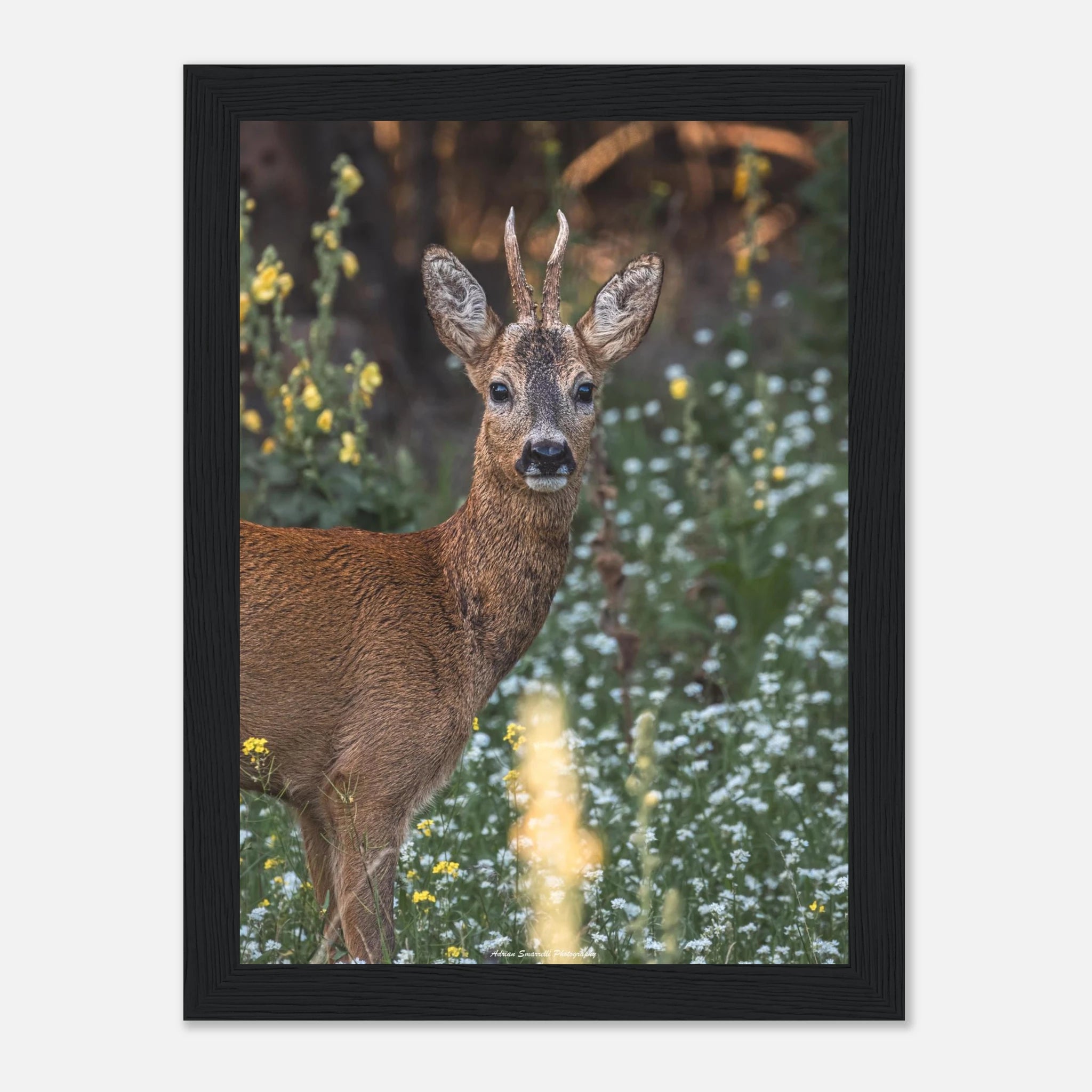 3bcf8afe-4129-46e5-bcc2-1d439481c917