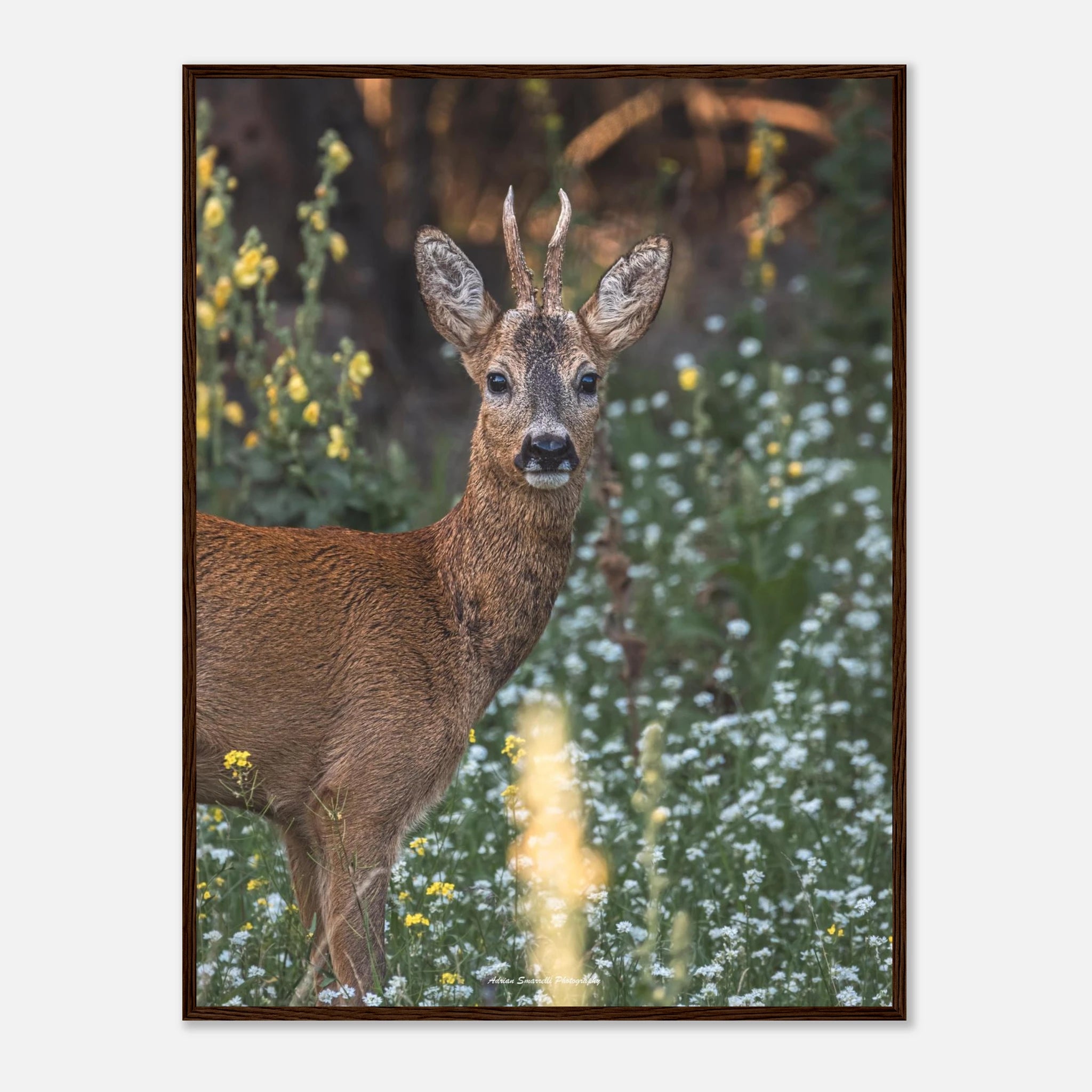 3c1ef257-21a0-466c-8dd2-b9748e49fff5