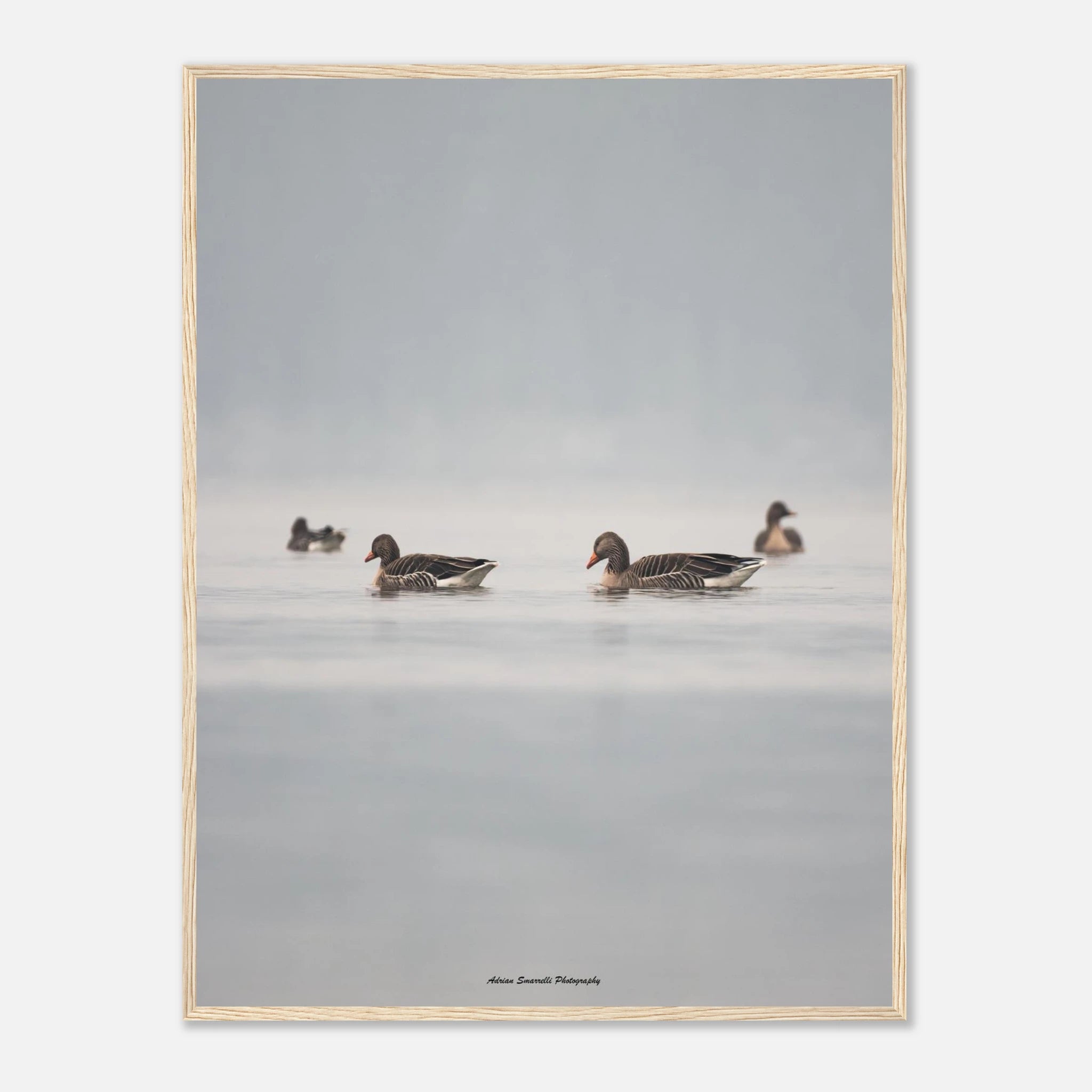 3ca6504e-192f-40b6-828c-0d7d69fdec50