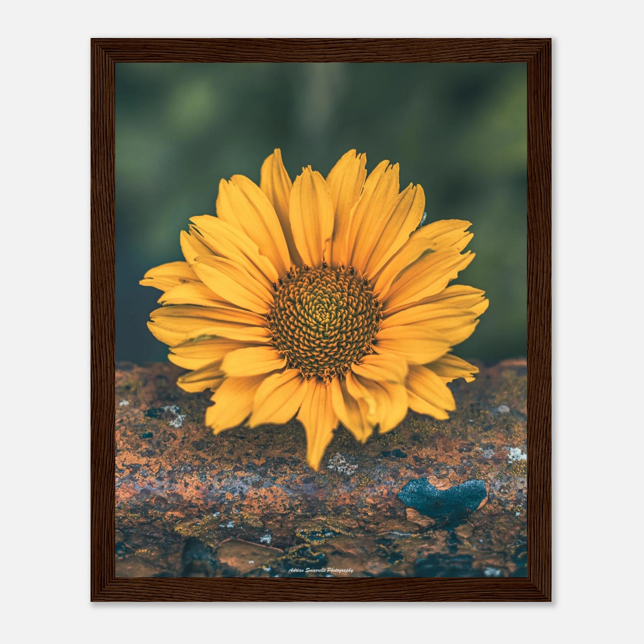 3ca8d969-a8f0-477e-b858-0276df7af03f