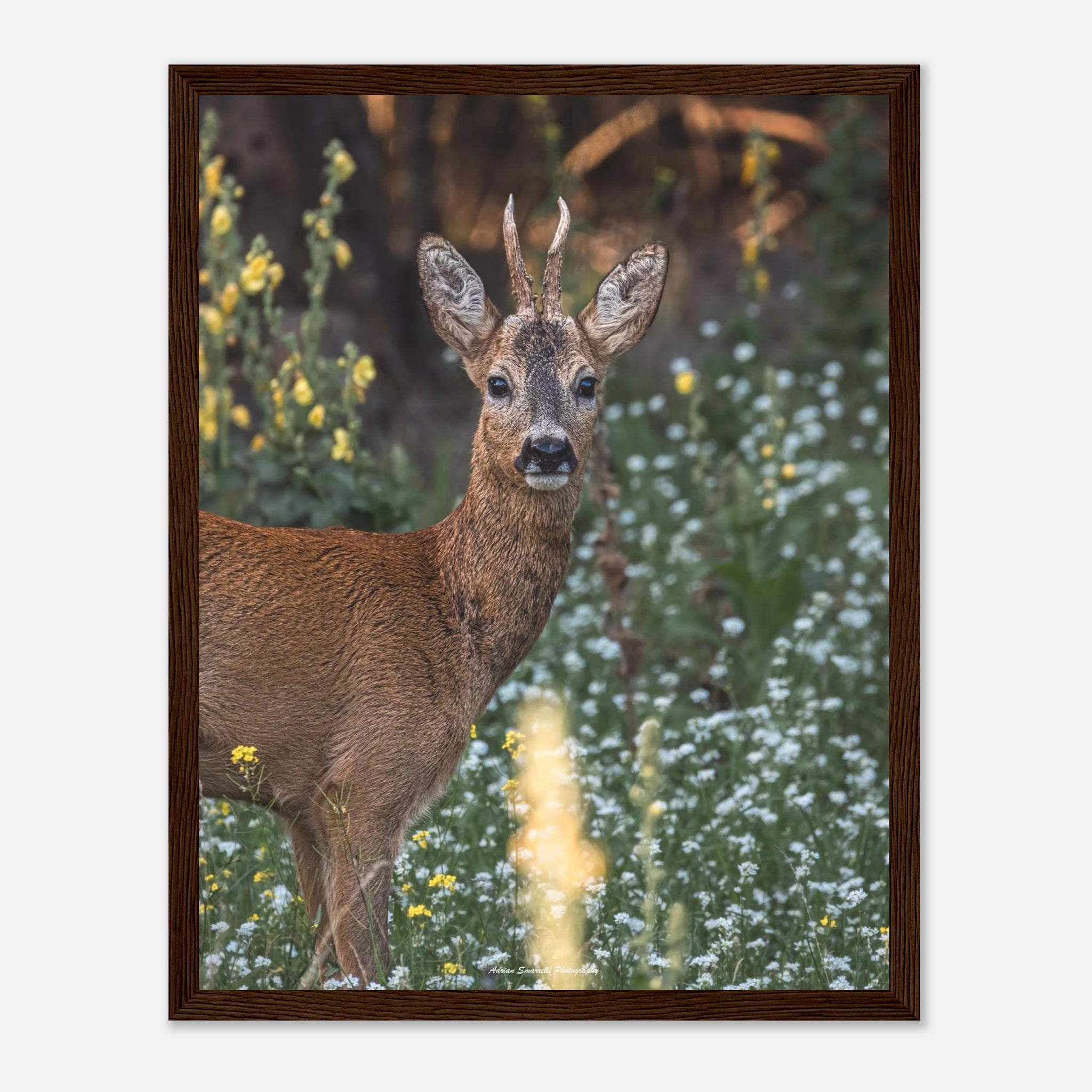 3d0d7654-df4d-4442-a0c1-aaa2ef556af1