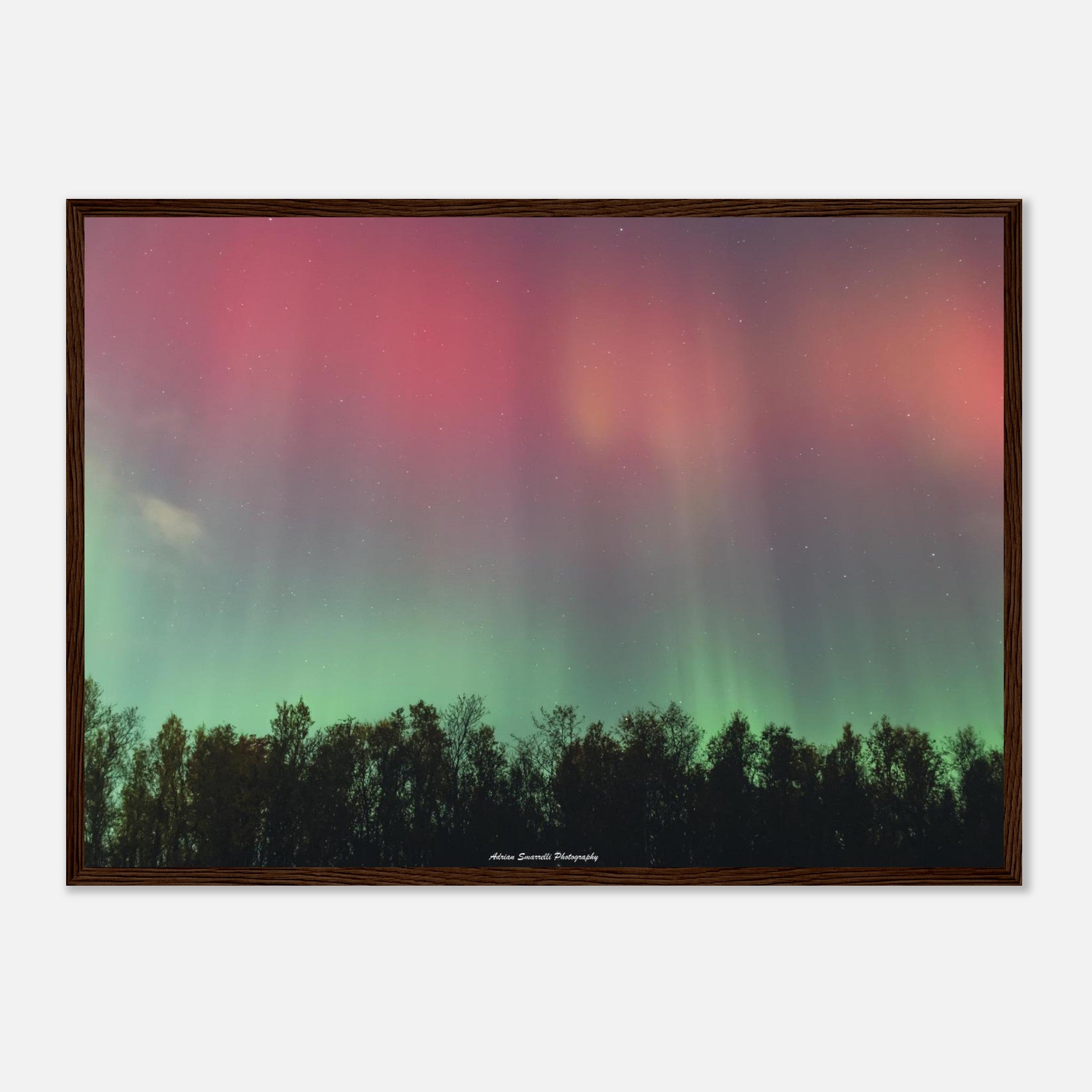 3d8cc48f-9aa3-4a00-87c5-4f6f294e6ac4