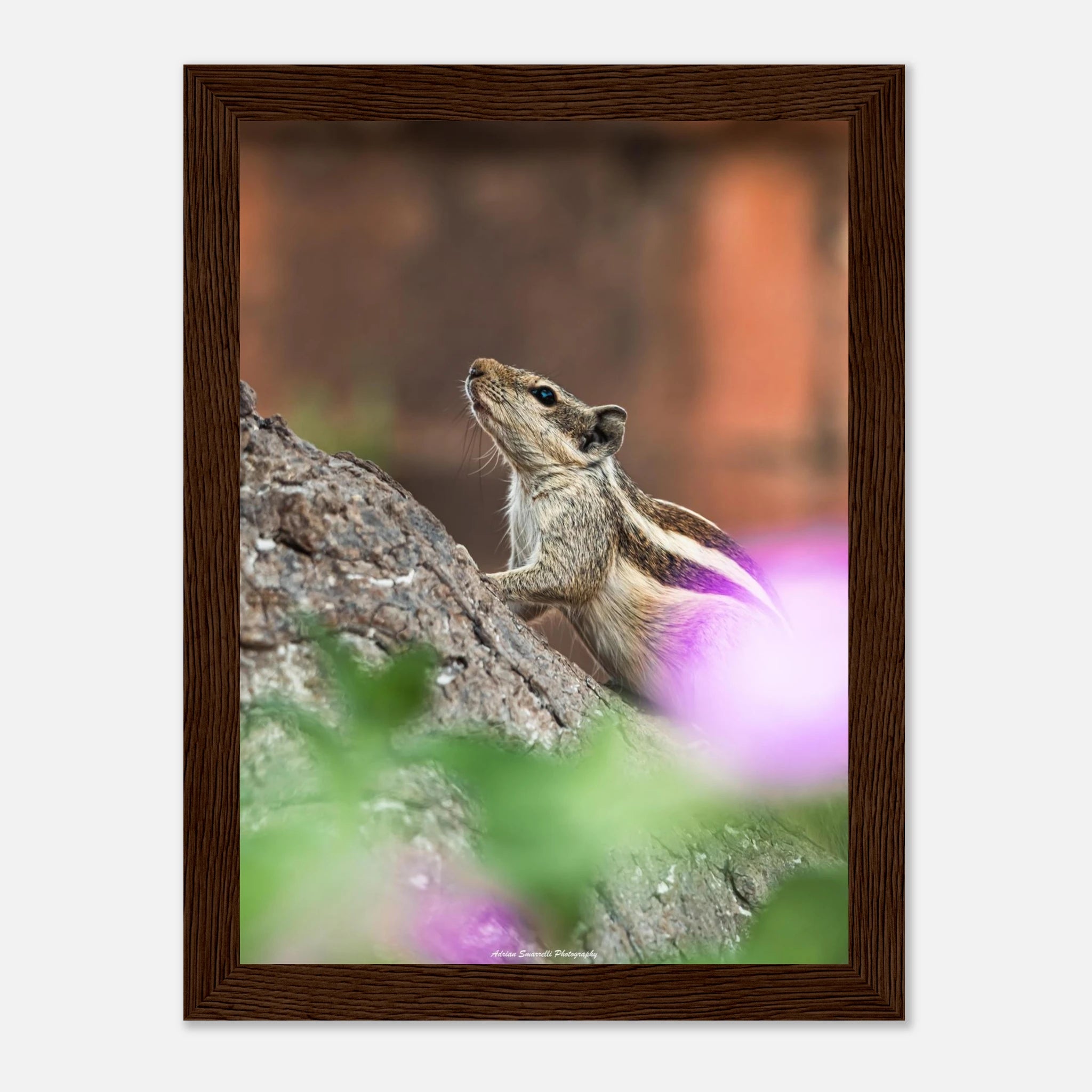 3dedc14a-81e9-425b-9cd8-bd83d8271fb7