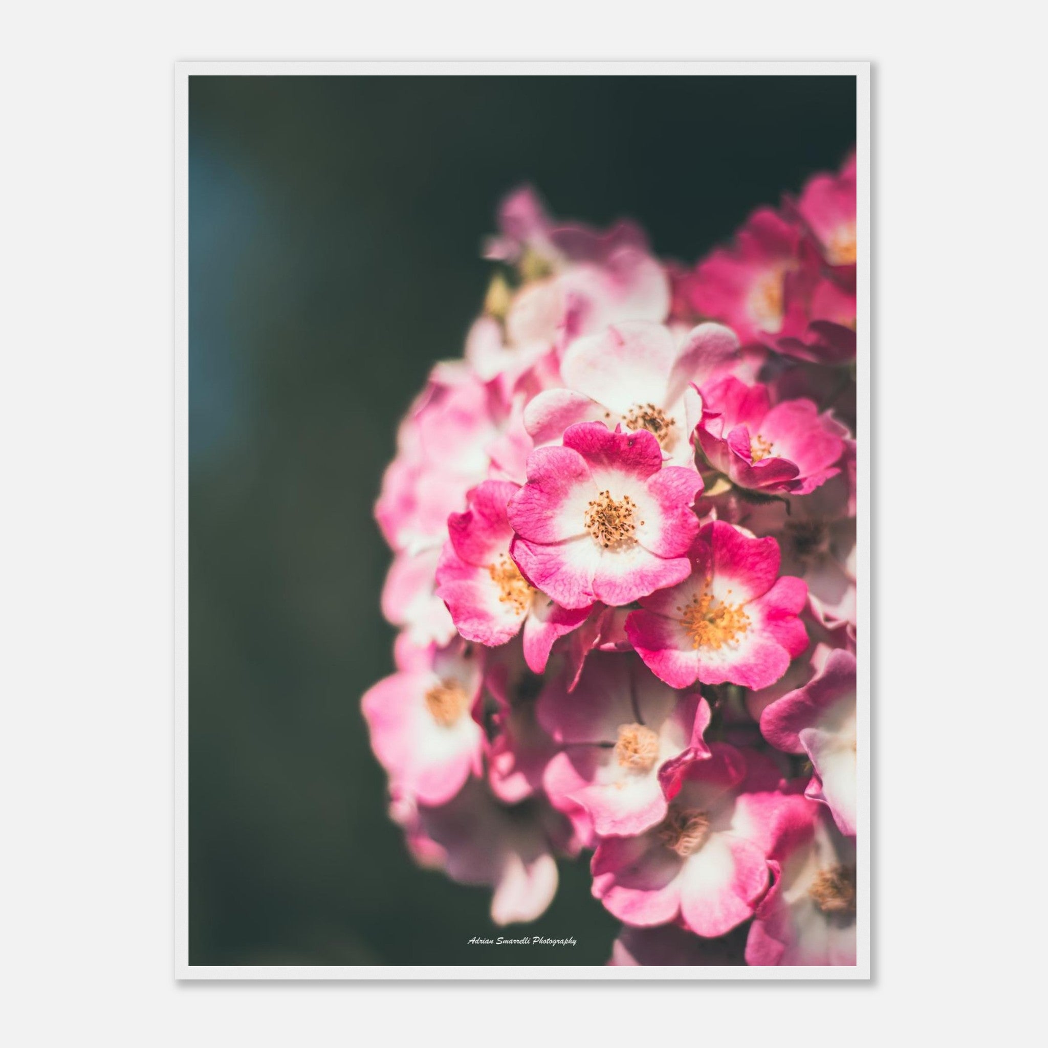 3e172d1f-ea5b-4bbb-addf-2f3e27250a10