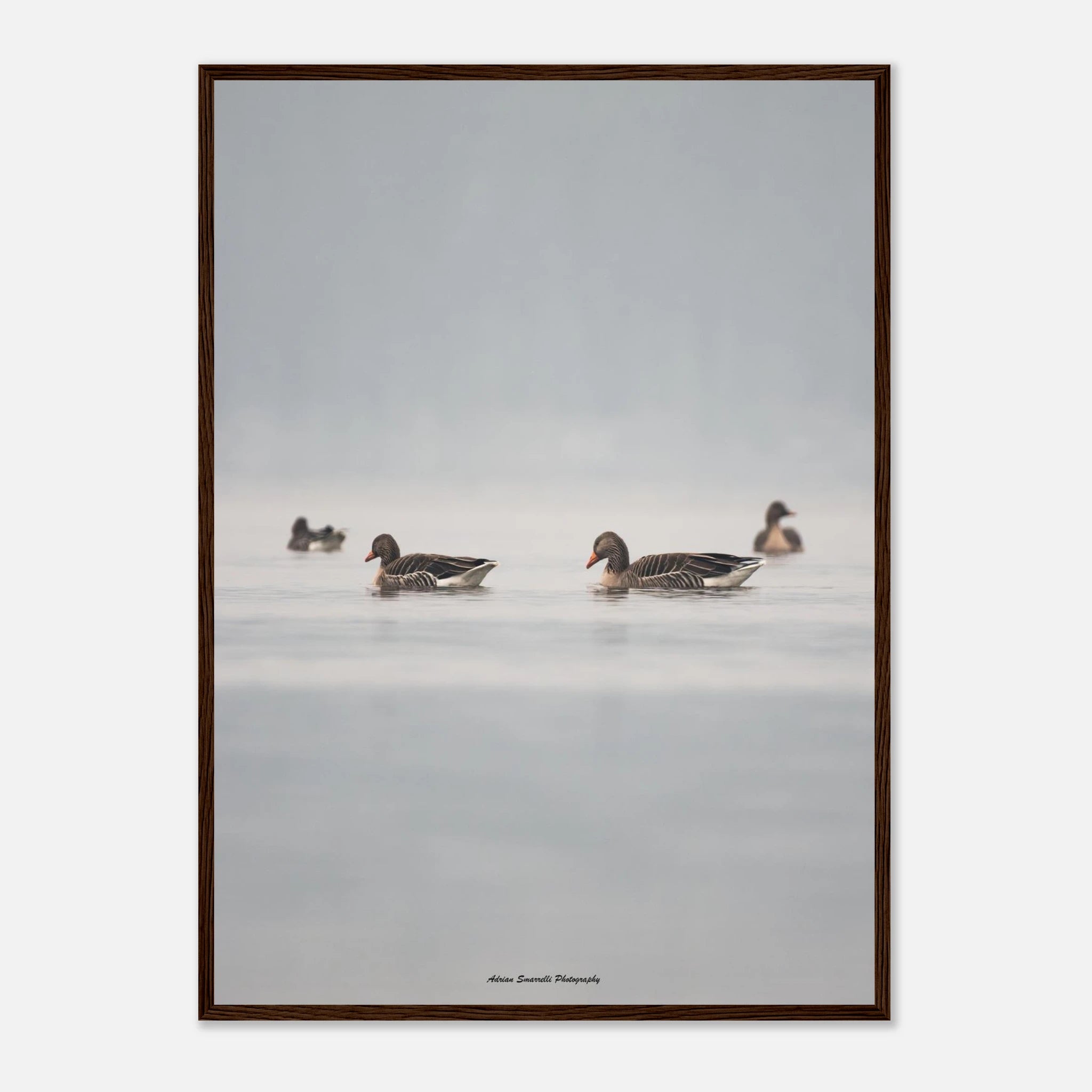 3e2a2524-be1d-4bf3-beaf-8641a7b60709