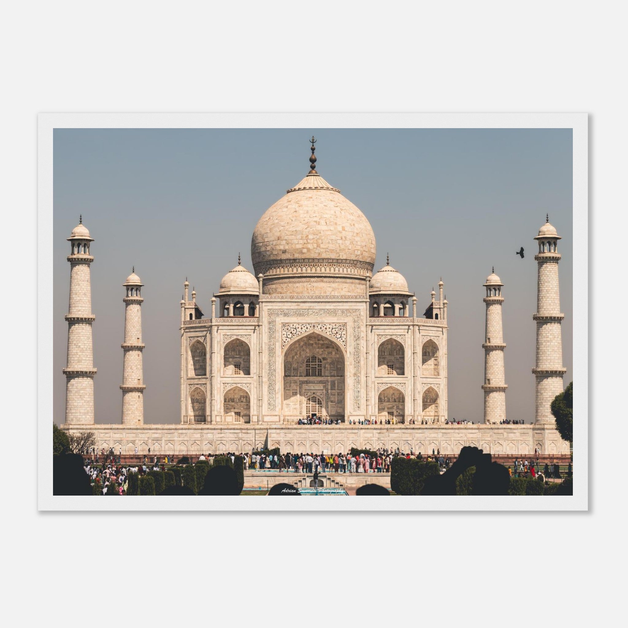 3eb6c30d-e4f9-4340-9290-1c0aeccf804a