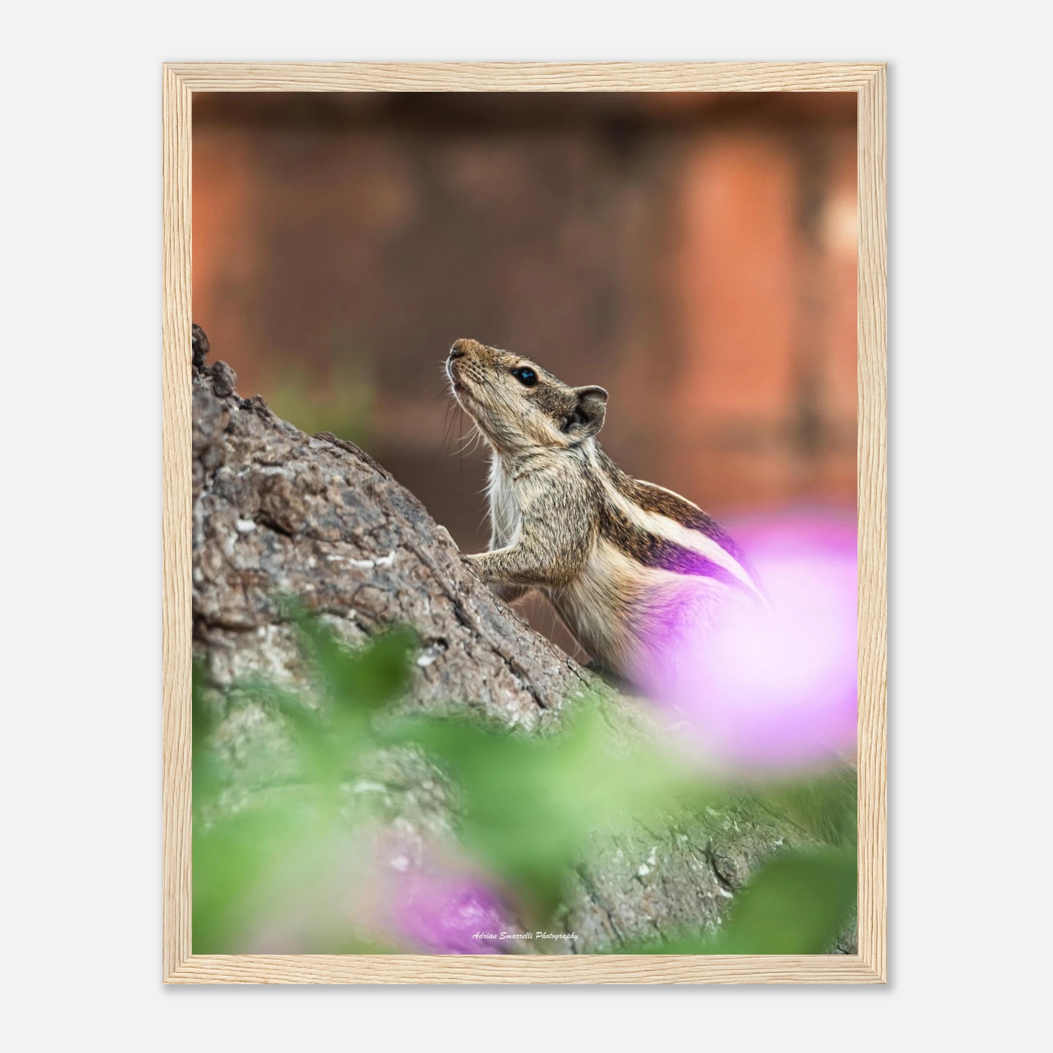 3f408d7a-4b6a-4ceb-9060-98f59bac23ef