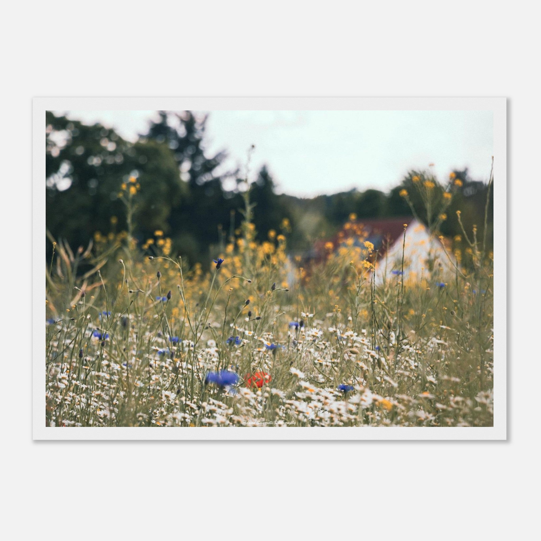 4075095f-cdc7-4e6a-8073-685be39eb10e