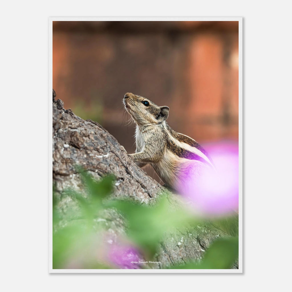 40a47f84-0ecb-443c-aae4-6cac254887dc