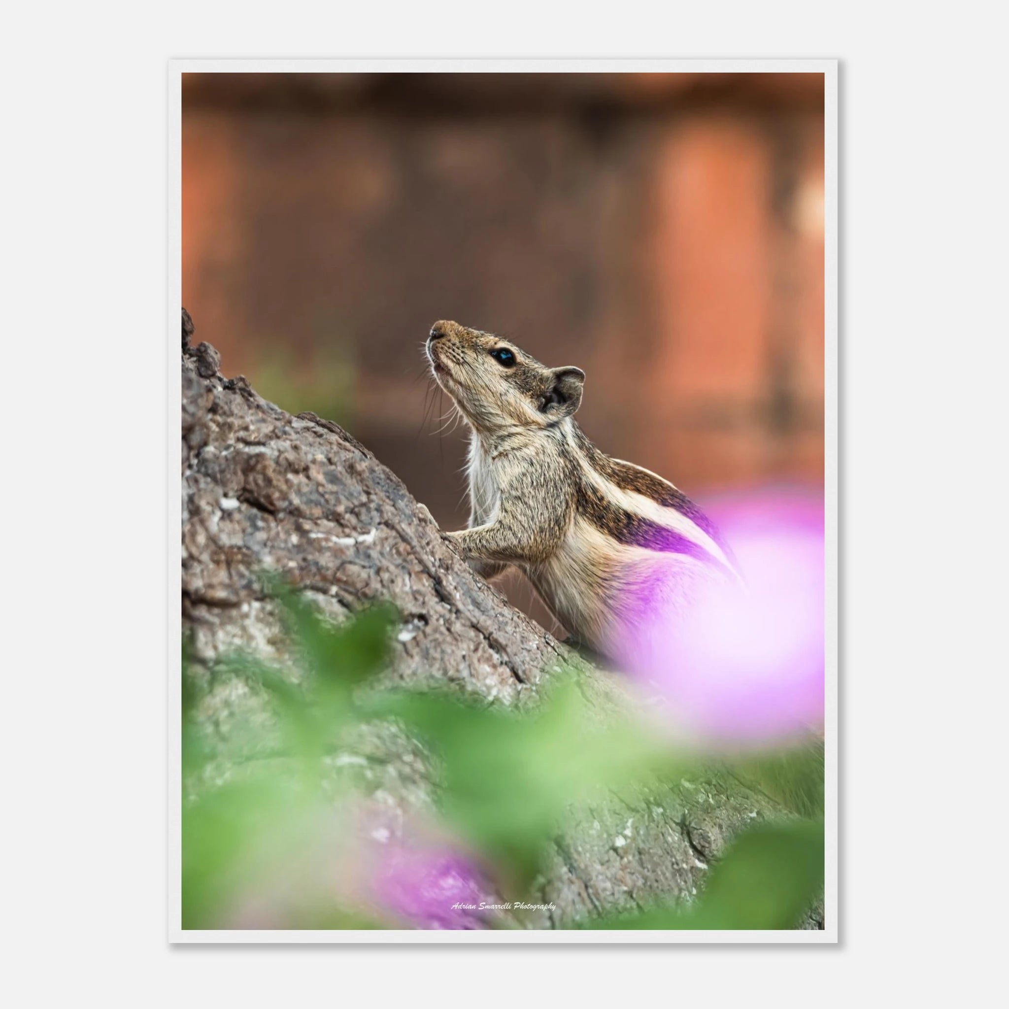 40a47f84-0ecb-443c-aae4-6cac254887dc