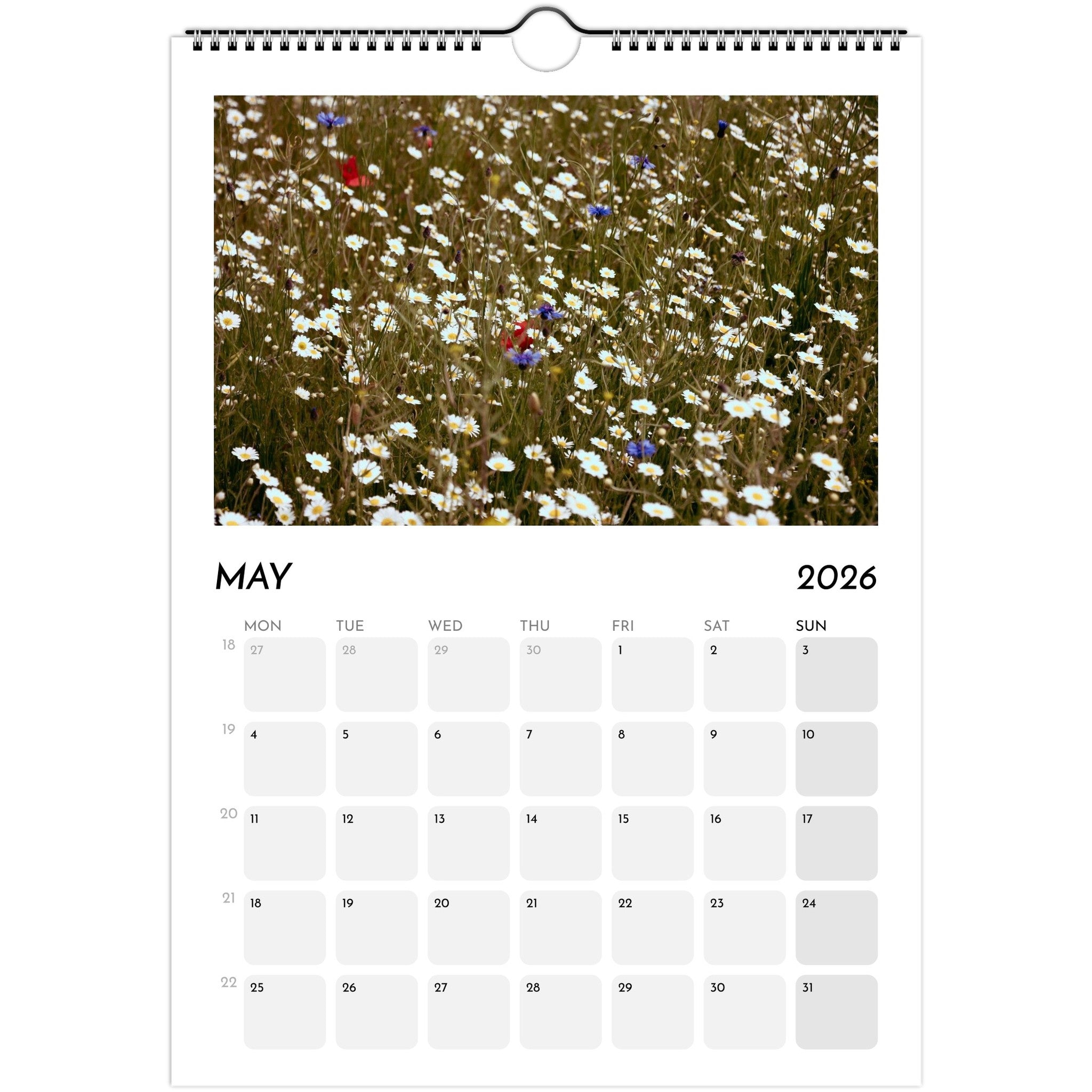 40de05ae-da44-428e-9439-d6276bc9838a