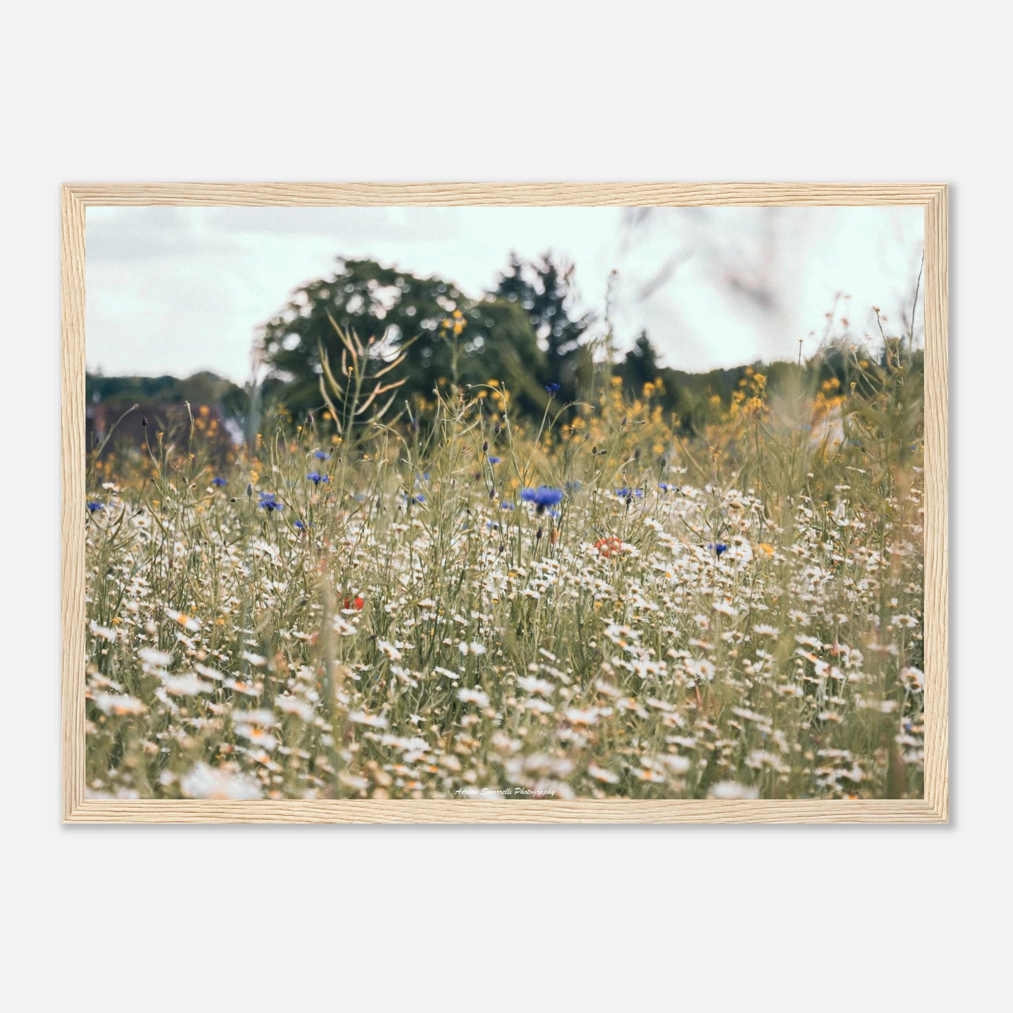 41b719a2-29d6-4434-83d5-31ecf7b98f15