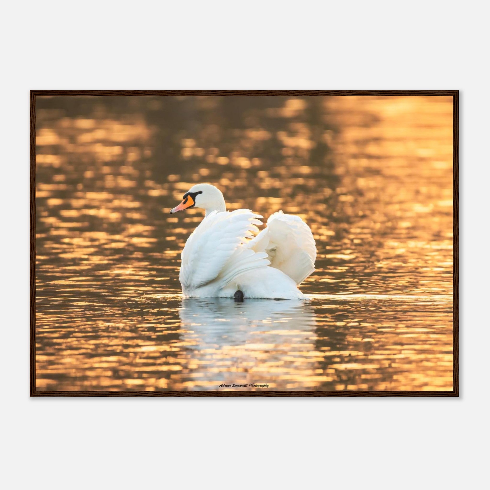 423a5f8d-3c08-40db-867e-cf765955a94c