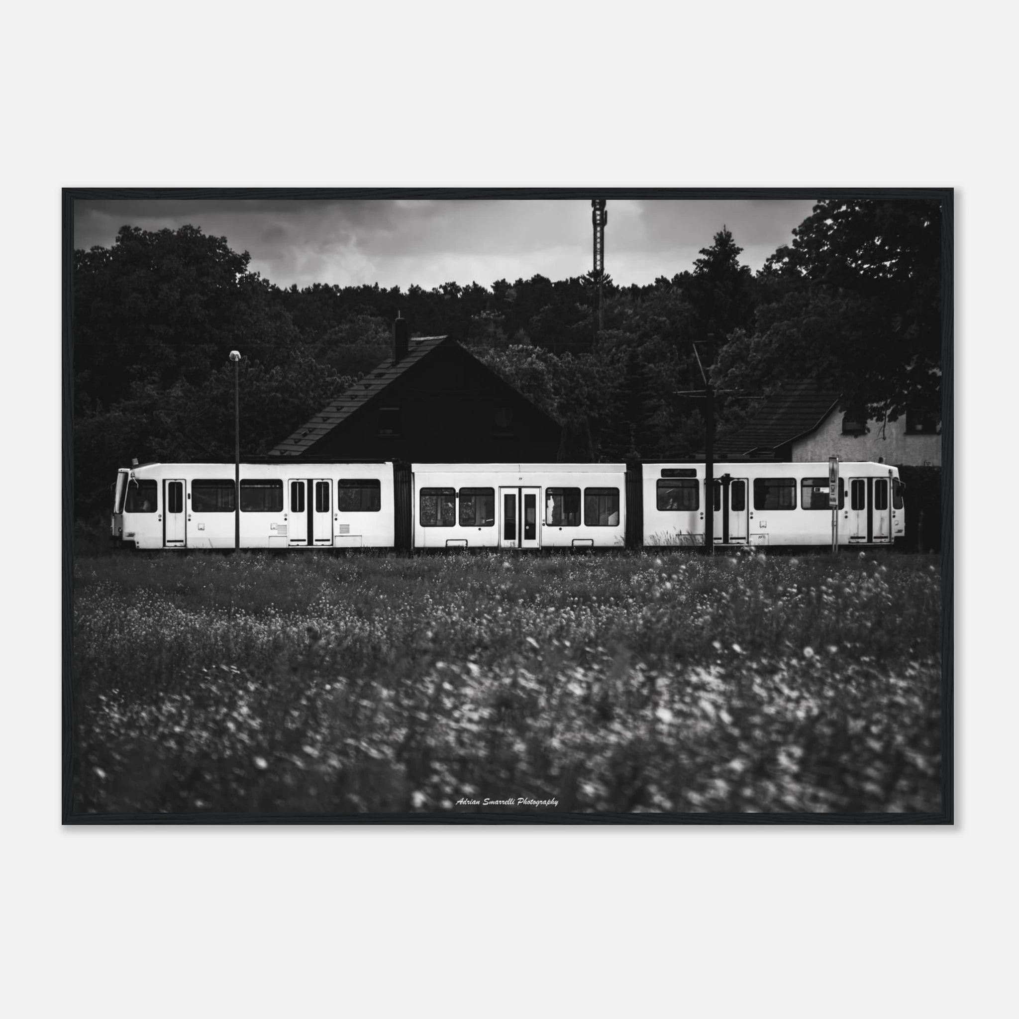 42871a9b-b32e-4566-addf-9553a72ee498