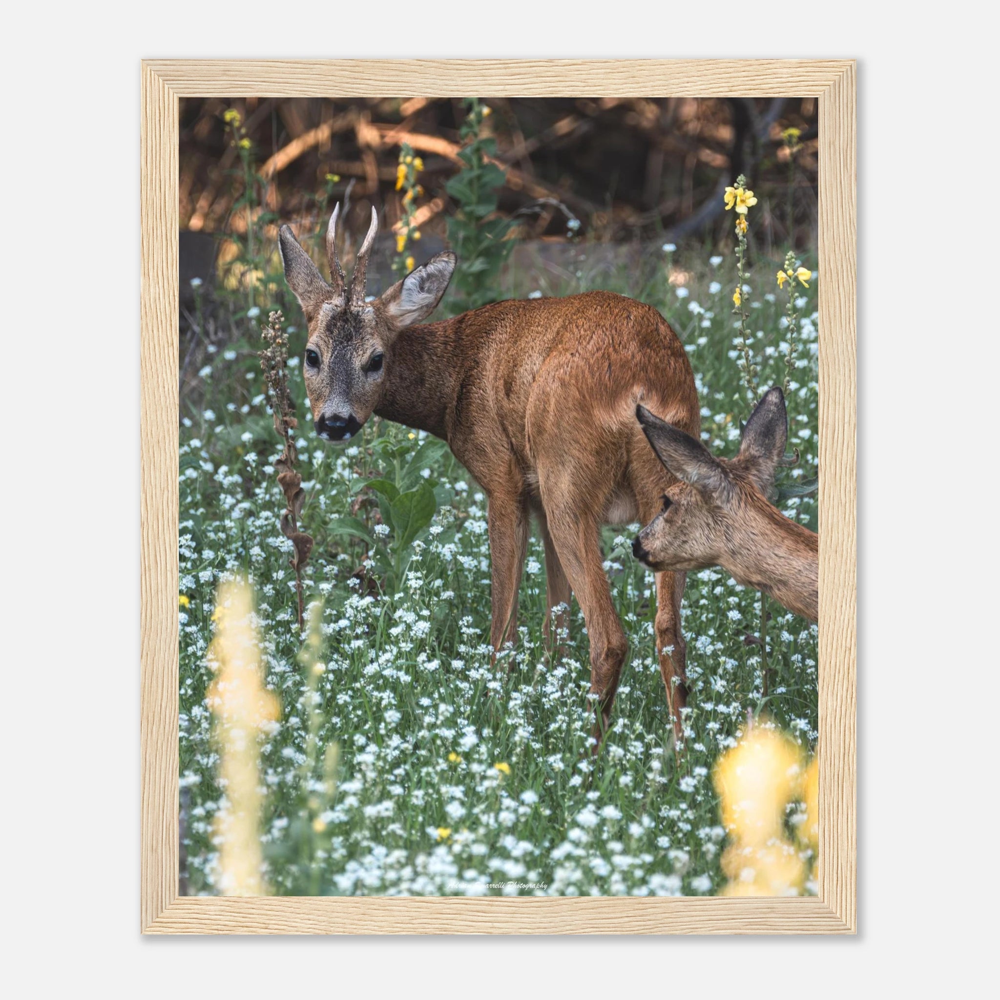 44adf3db-fb9b-45c7-8892-e8237f060aec