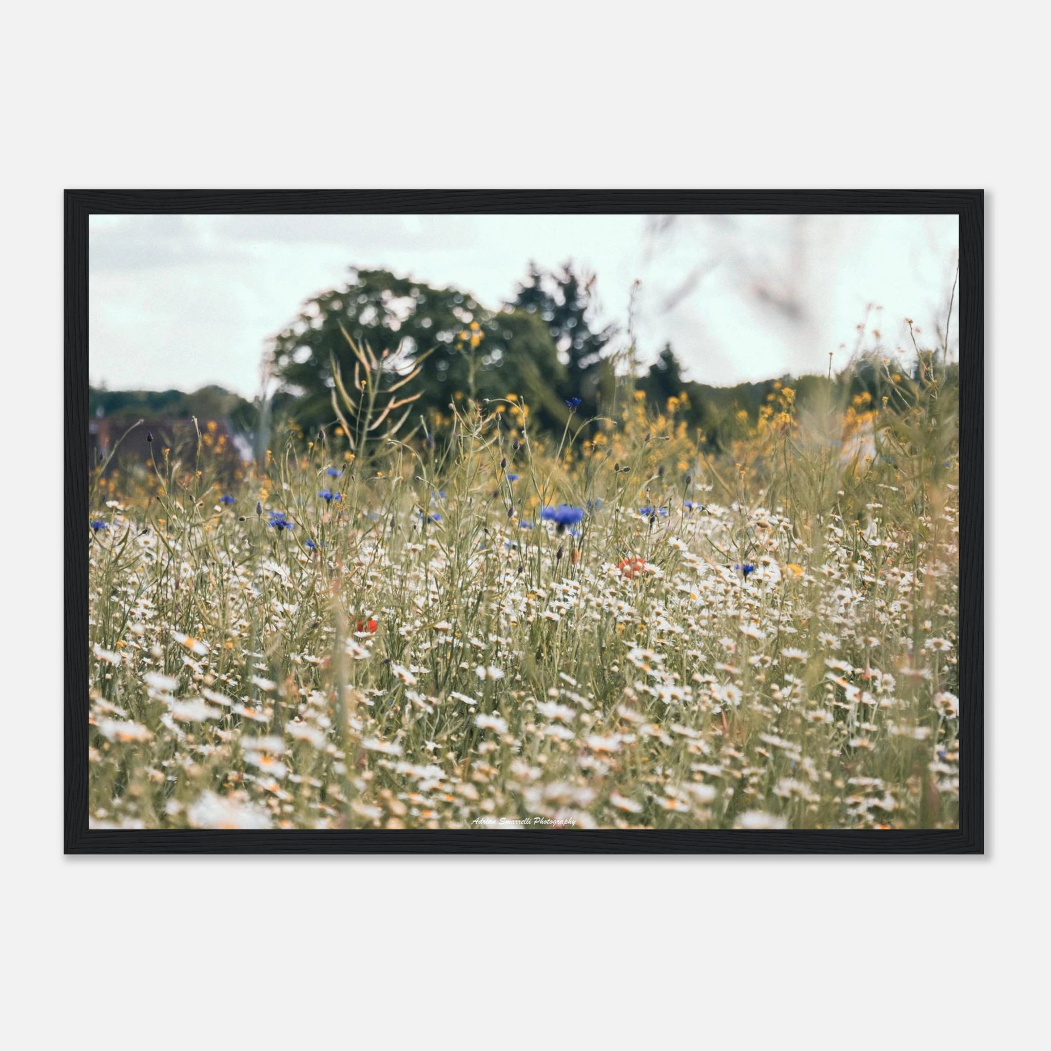 44bd2f75-4ba9-4767-af98-20b54a301c54