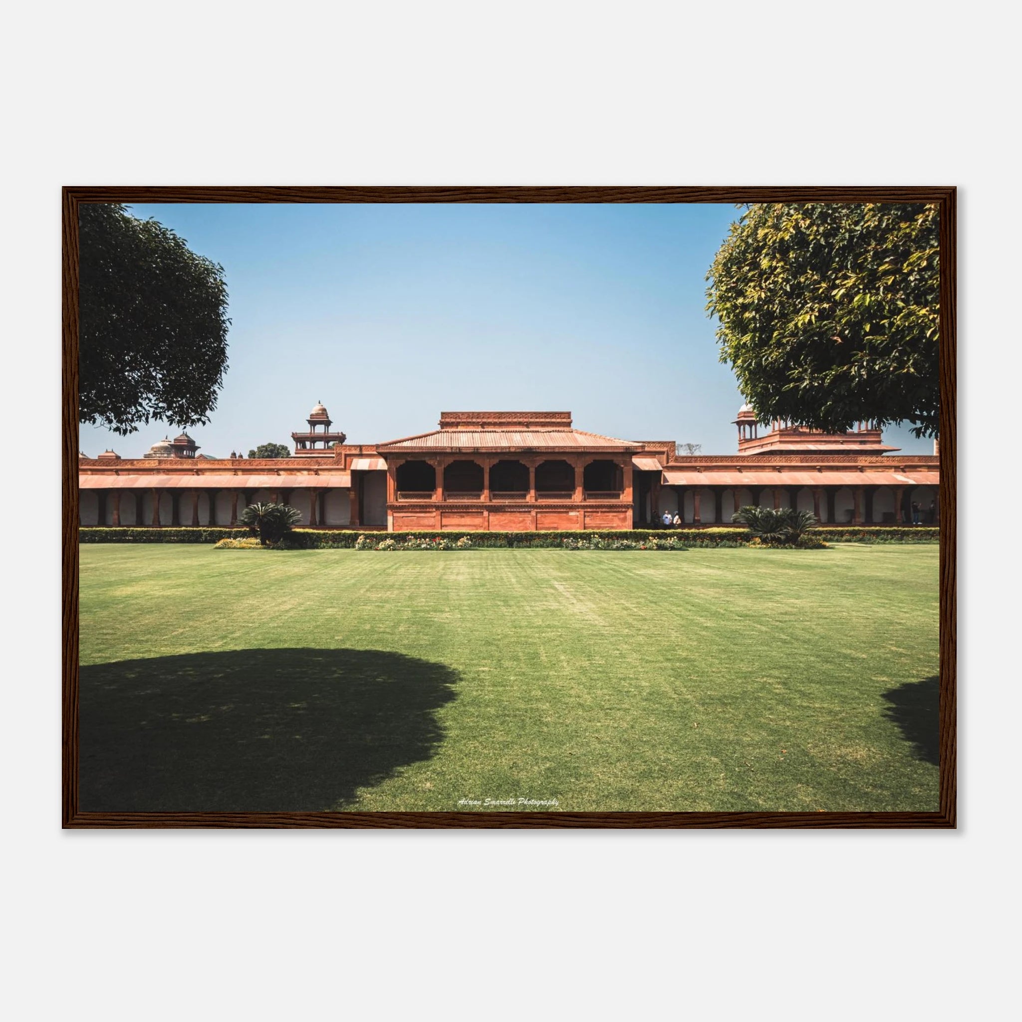 44bd7fbd-9afb-488a-a4f9-1b6e875d3152